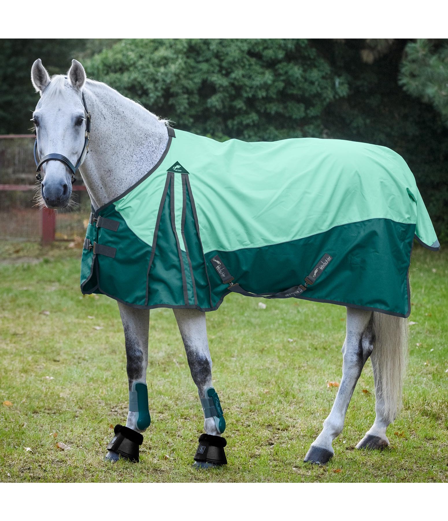 Regendecke Elara