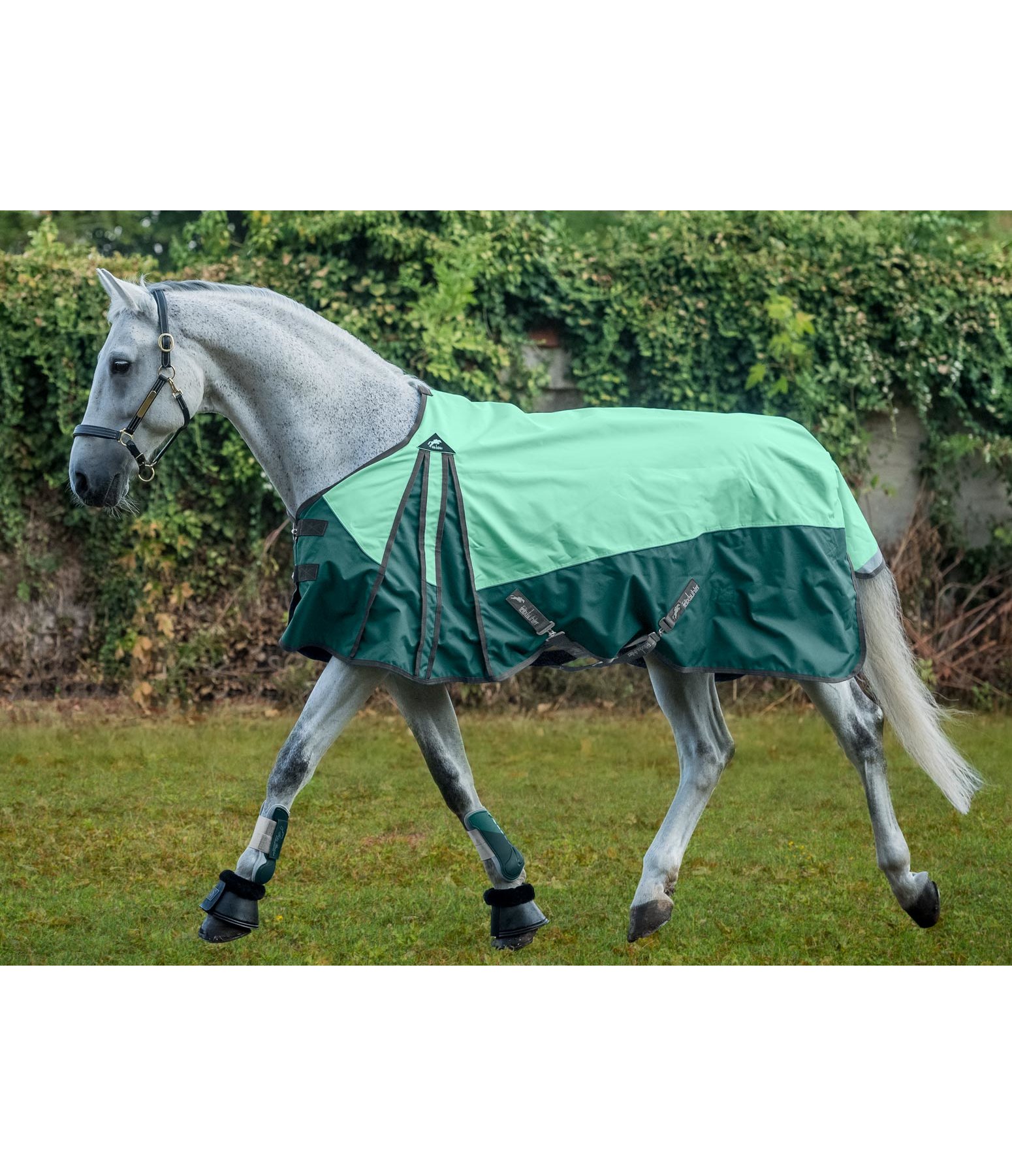 Regendecke Elara