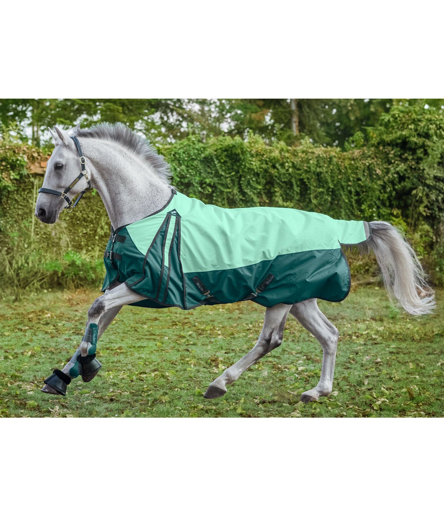 Regendecke Elara