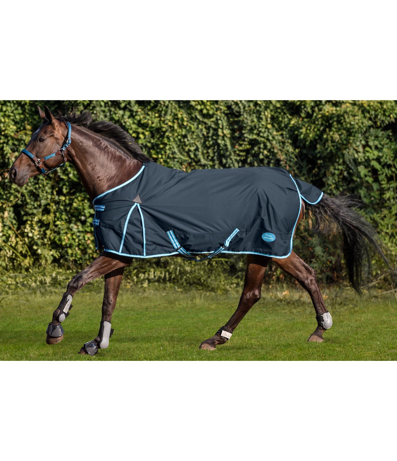 Regendecke Kadir