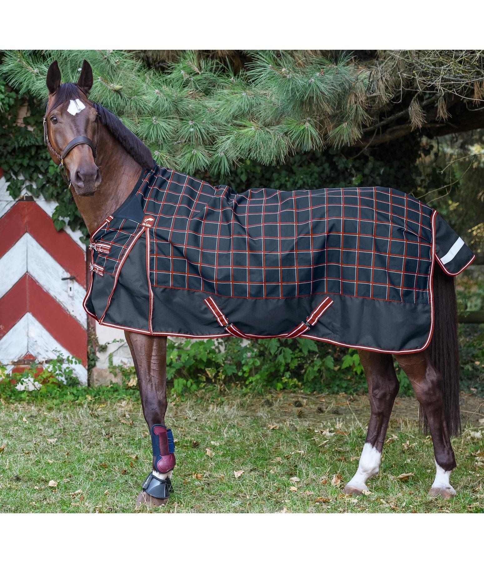 Highneck Regendecke Keno