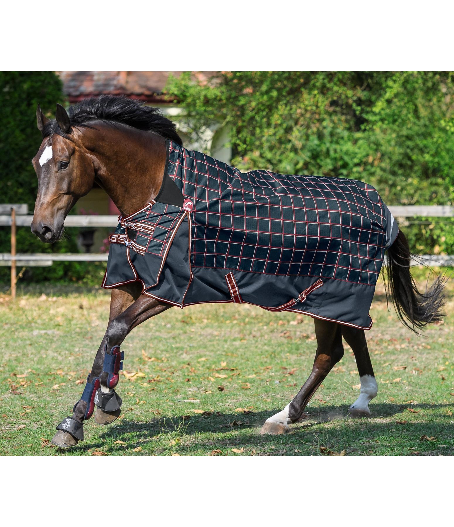 Highneck Regendecke Keno
