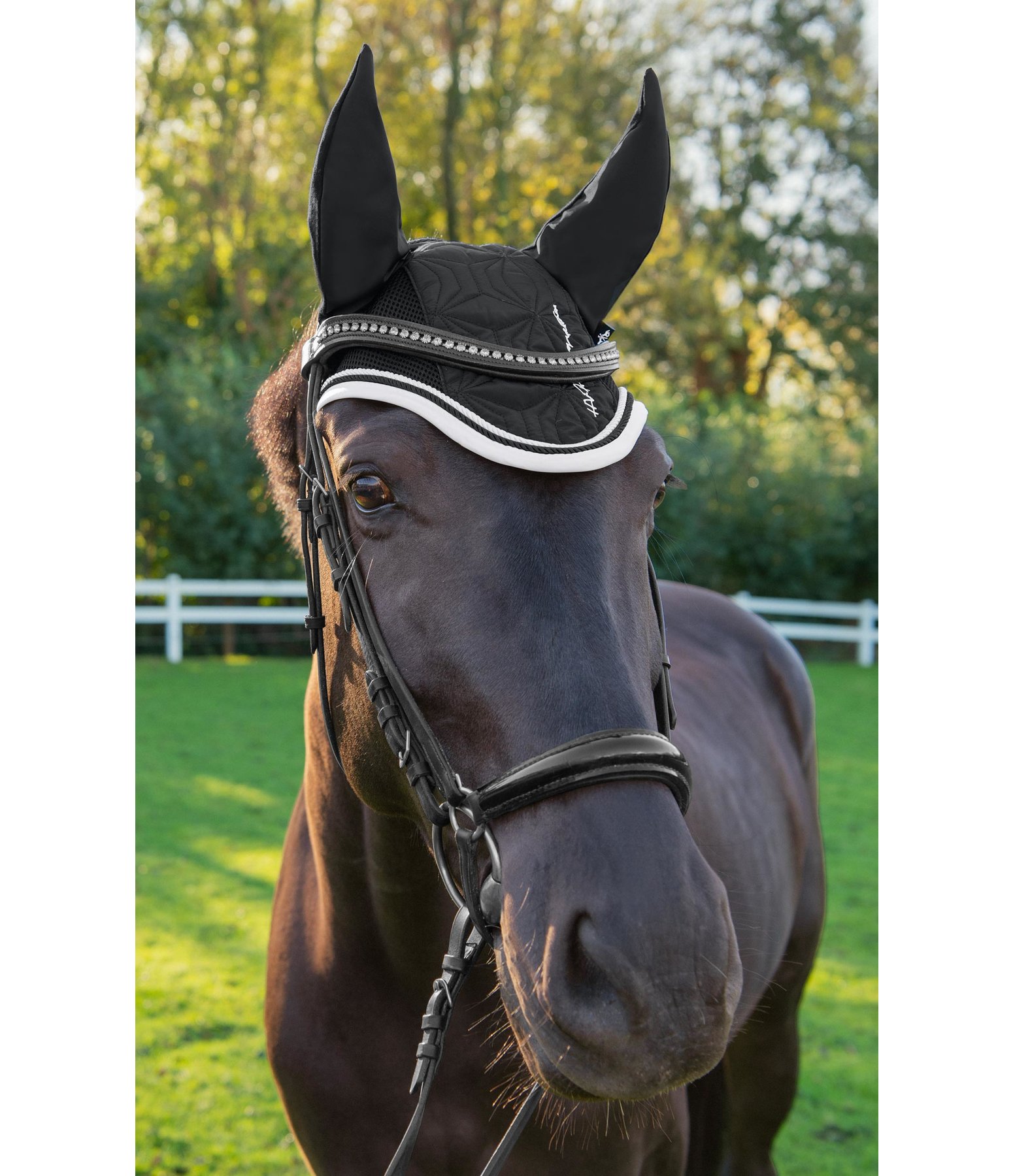 Fliegenhaube Nora
