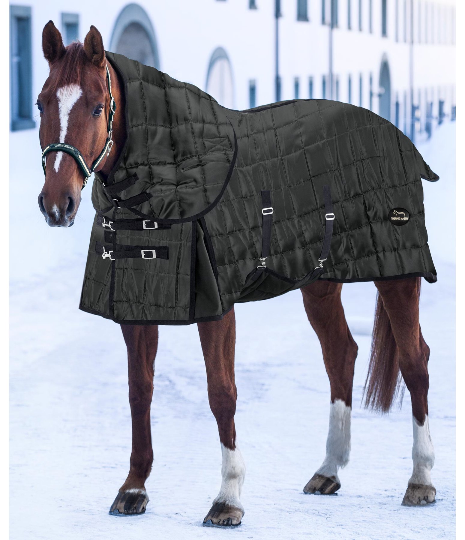 Winter-Stalldecke Fynn mit Halsteil, 400 g