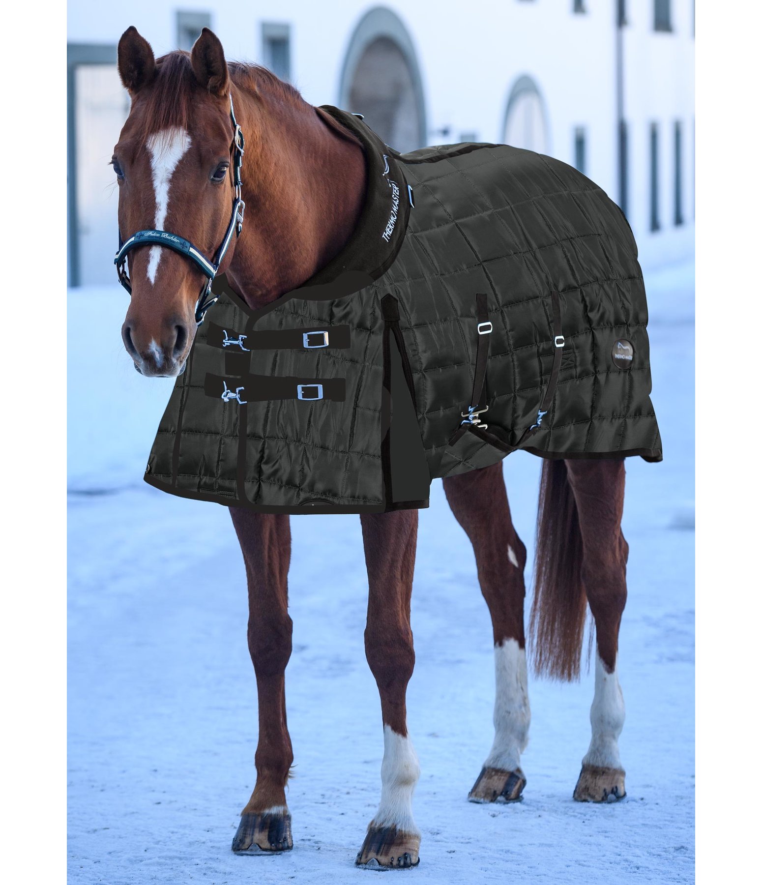 Winter-Stalldecke Fynn mit Halsteil, 400 g