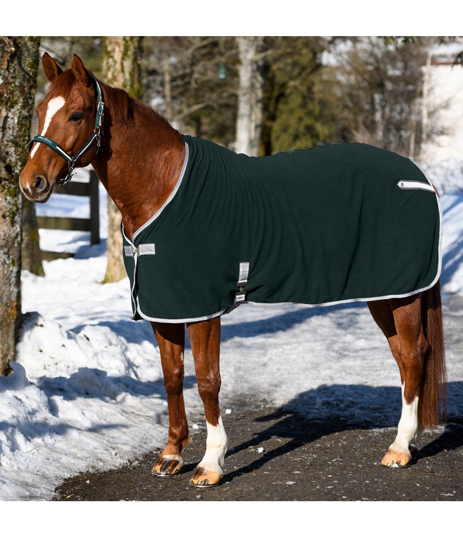 Fleece-Abschwitzdecke Basic Sports