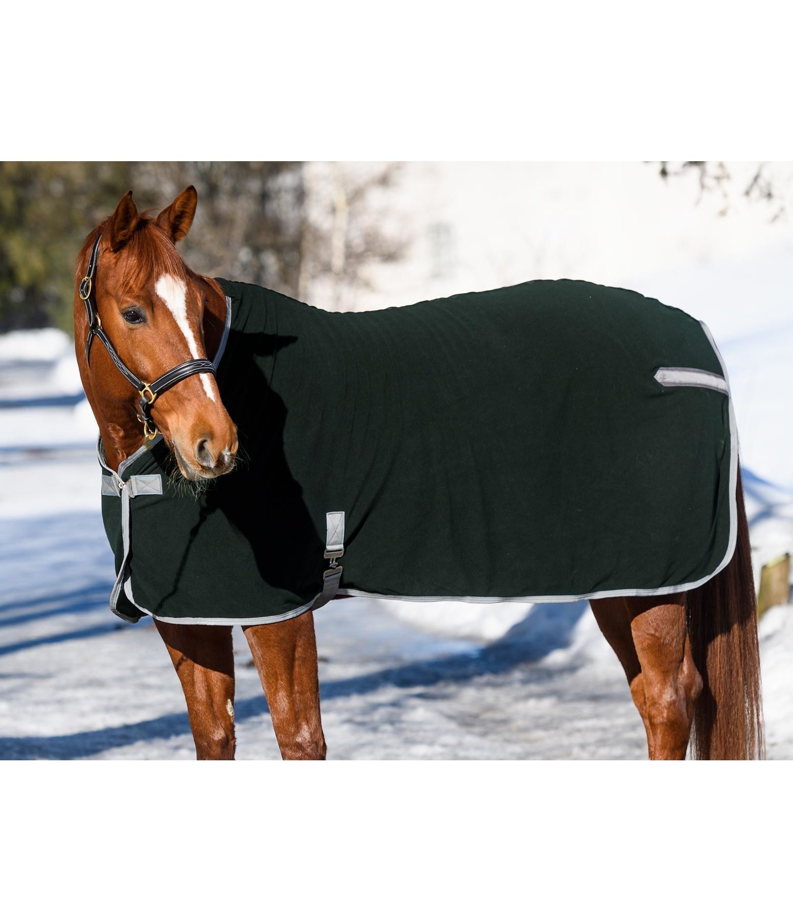 Fleece-Abschwitzdecke Basic Sports