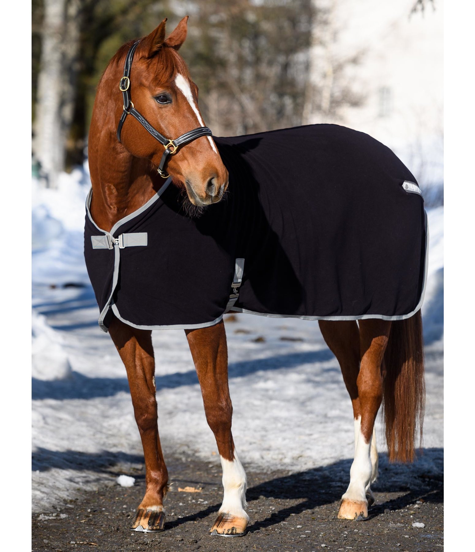 Fleece-Abschwitzdecke Basic Sports