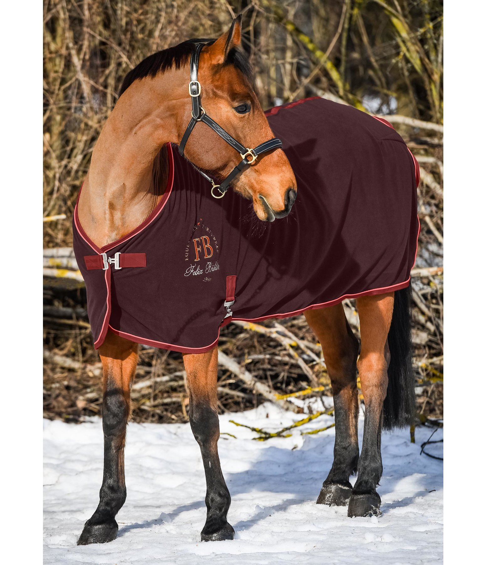 Fleece-Abschwitzdecke College Style