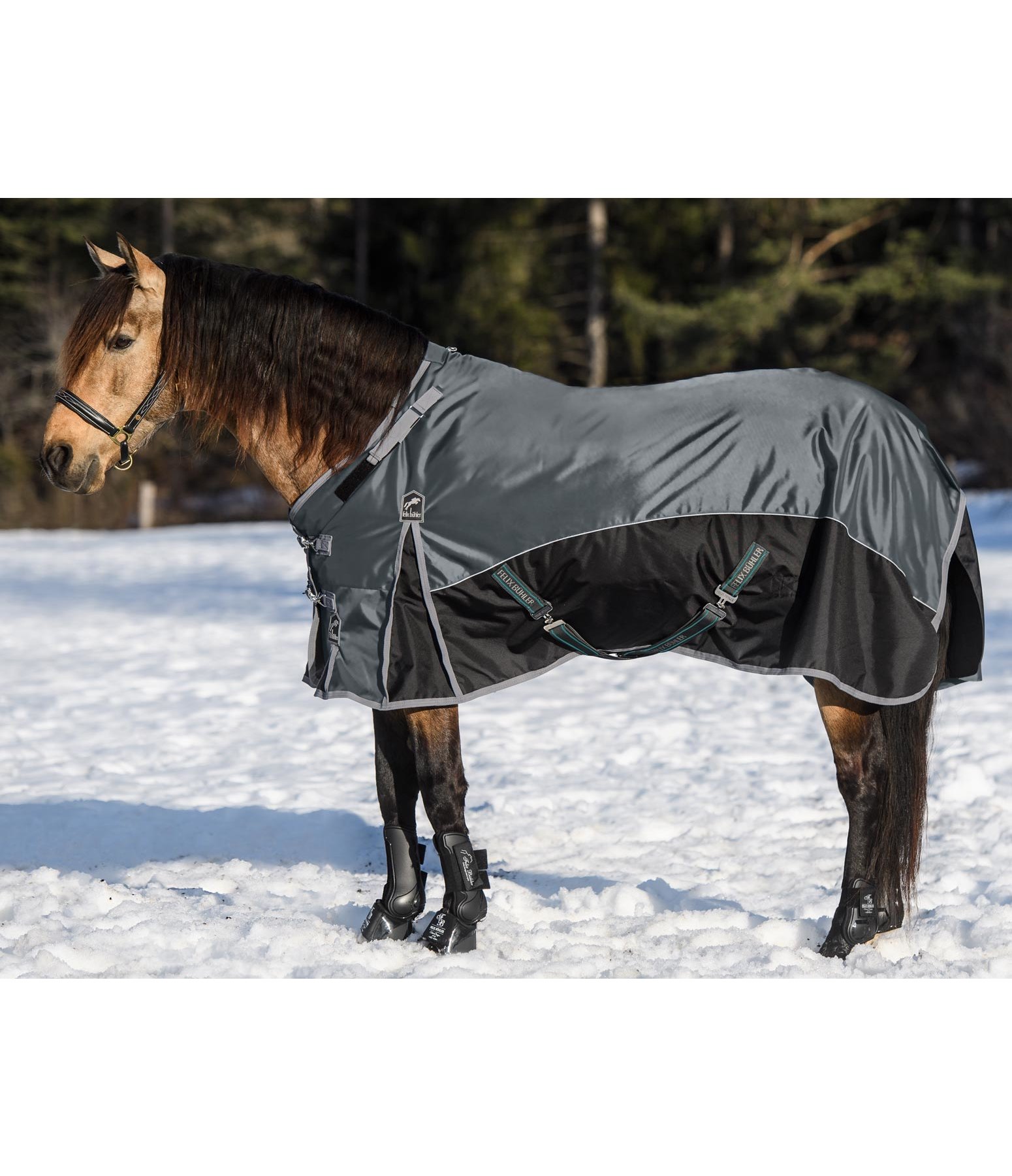 Power Winterdecke Felicitas, 300 g