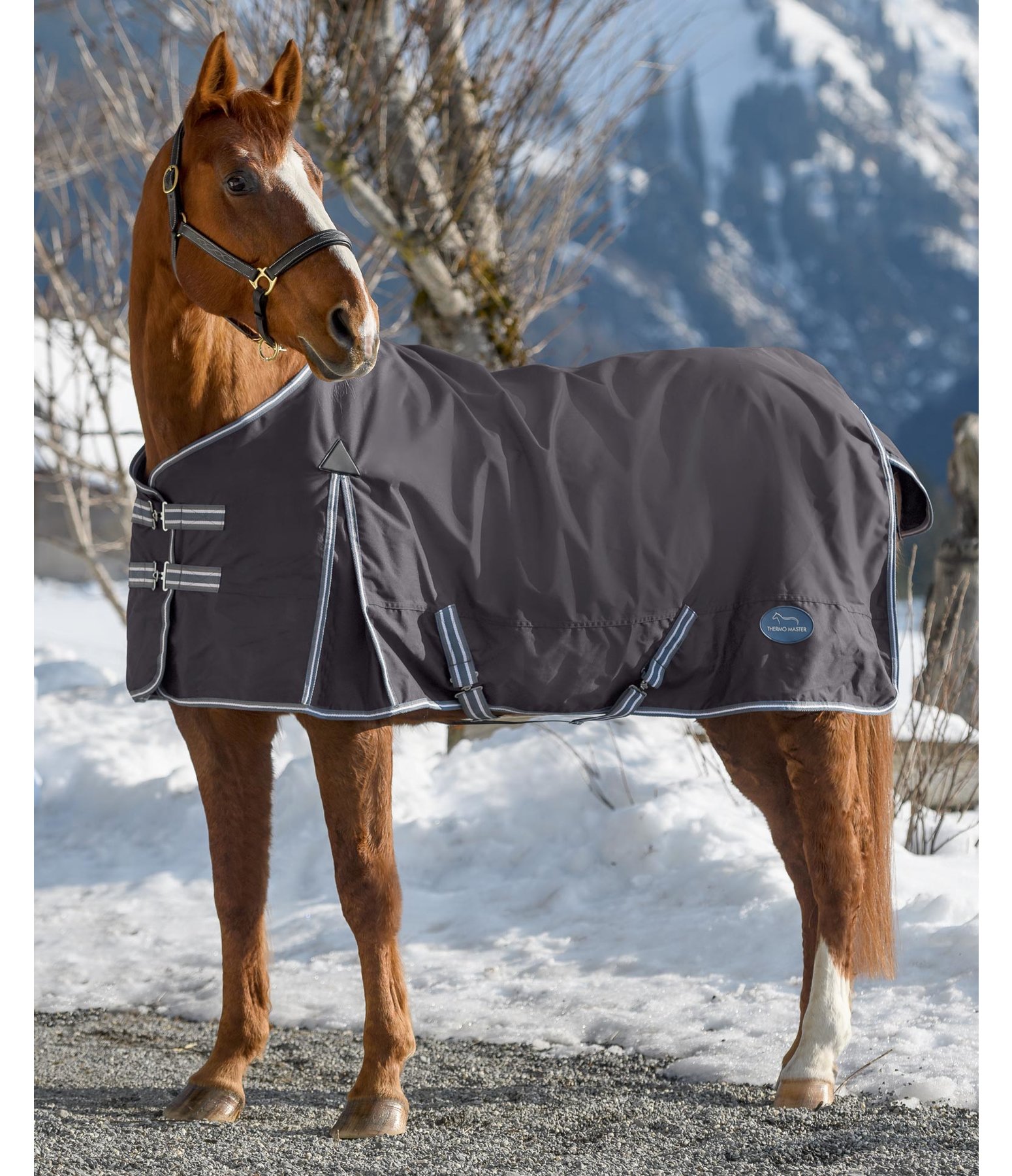 Regendecke Kadir II