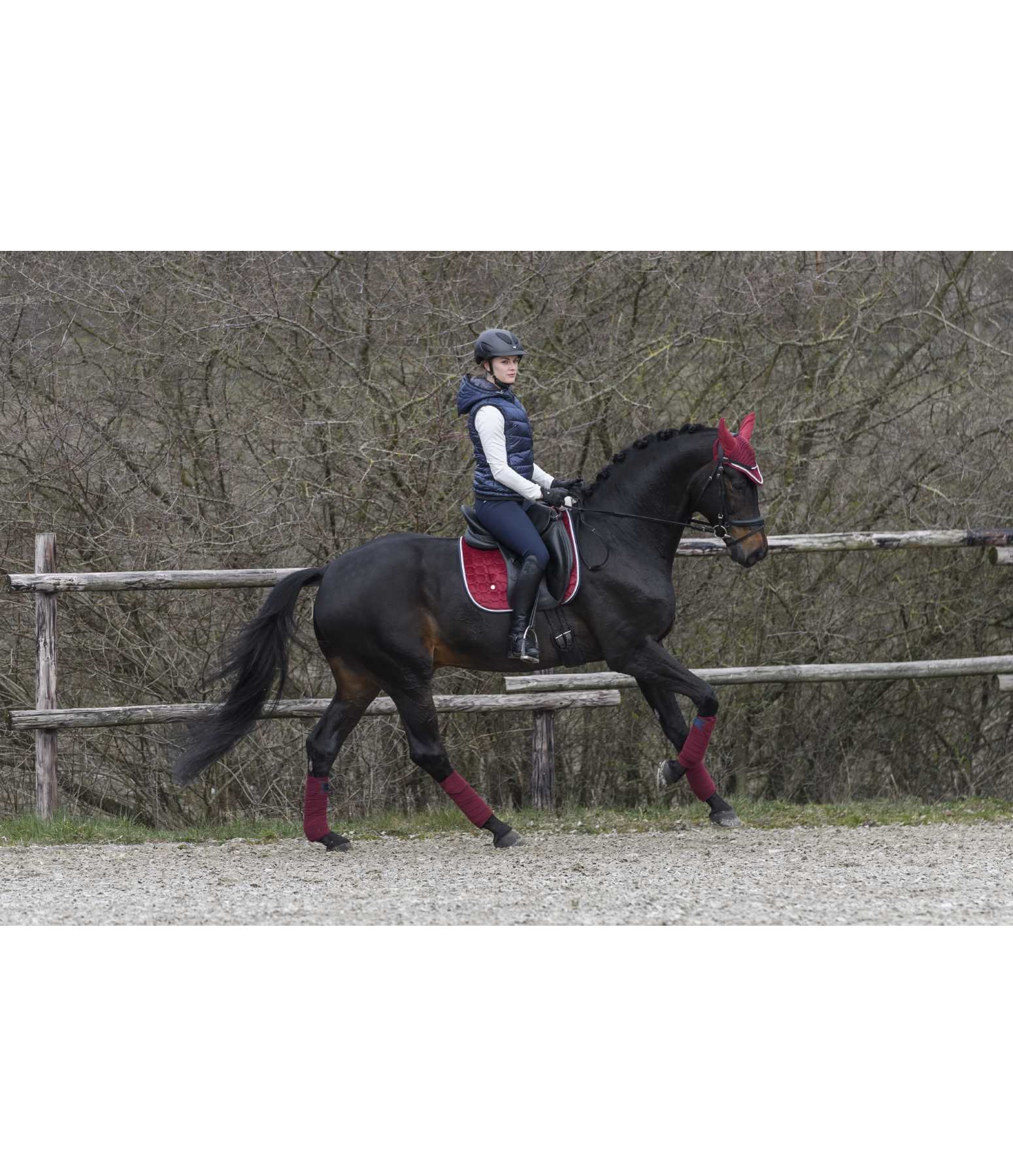 Fliegenhaube Basic Sports