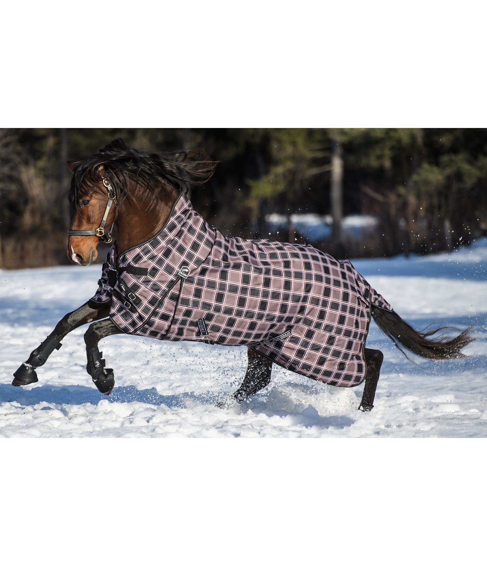 Highneck Regendecke Ambler