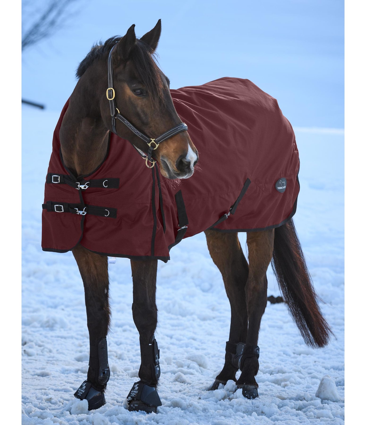 Highneck Winterdecke Snugly, 300 g