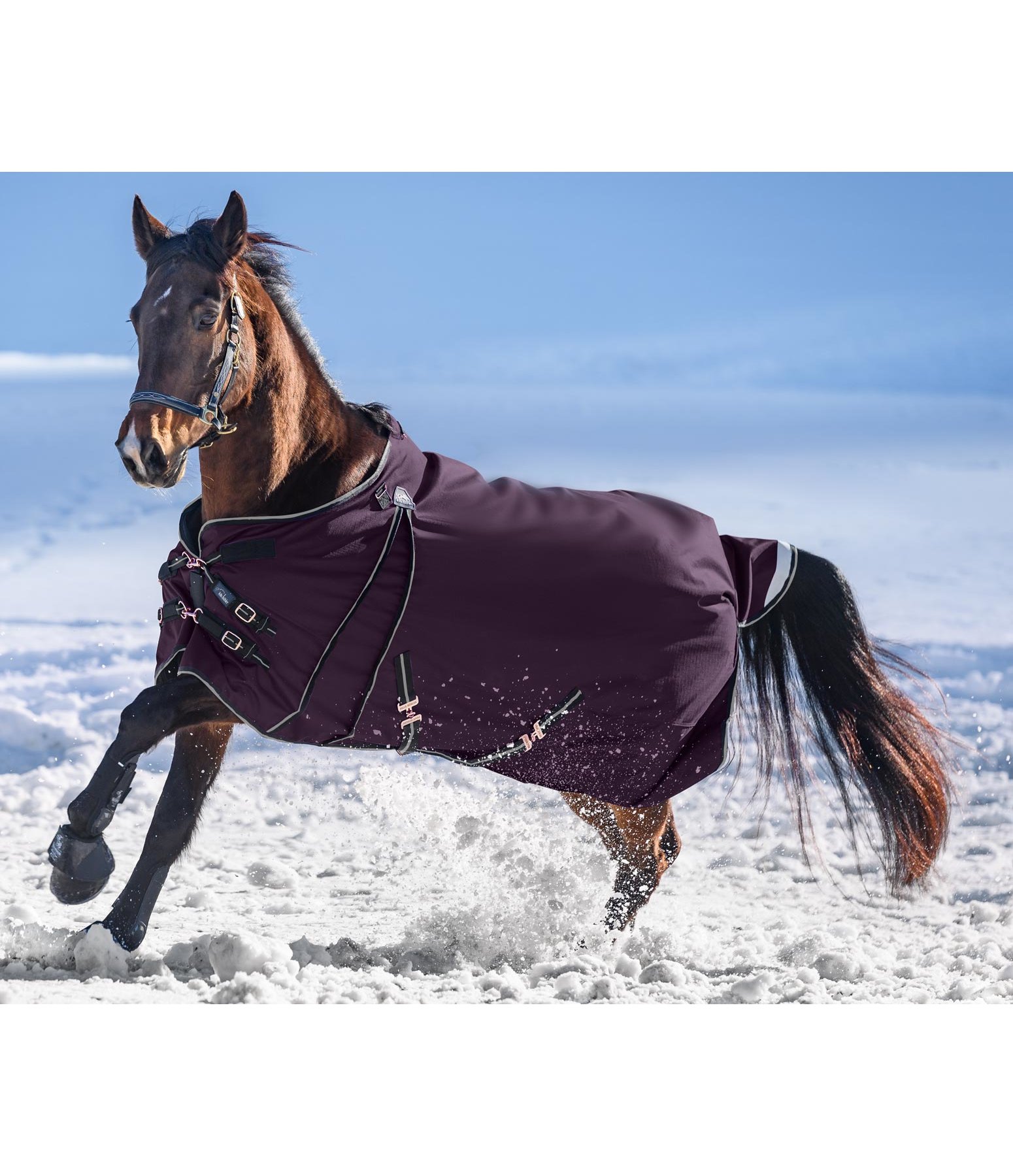 Outdoordecke Autumn Breeze II mit Linersystem