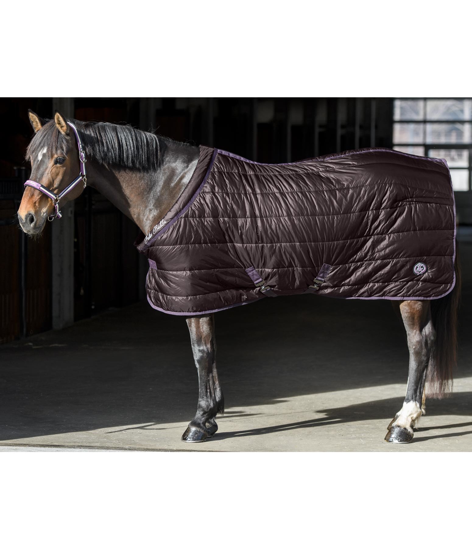 Stalldecke Performance Light, 200 g