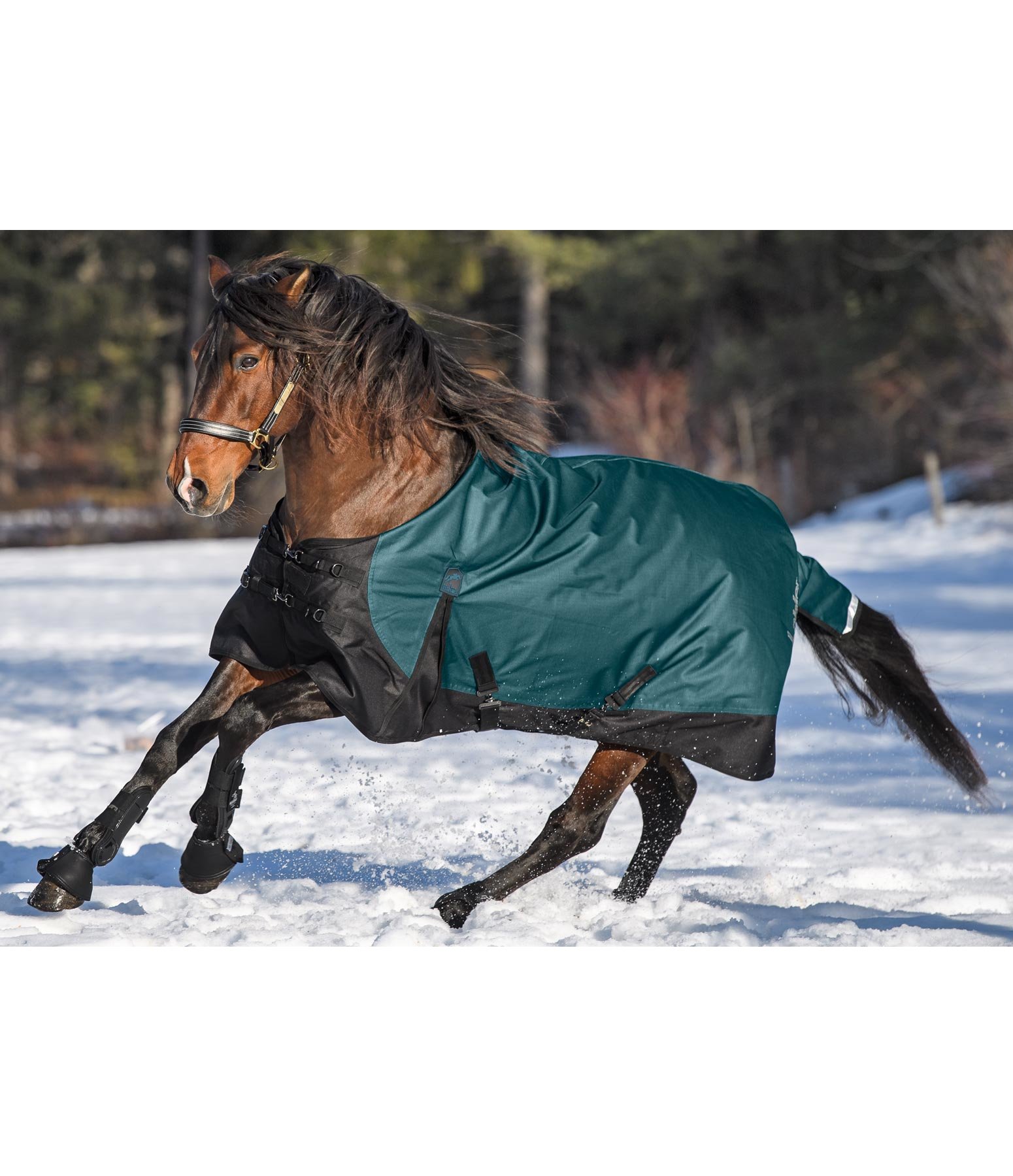 Winterdecke Heaven 4, 50 g