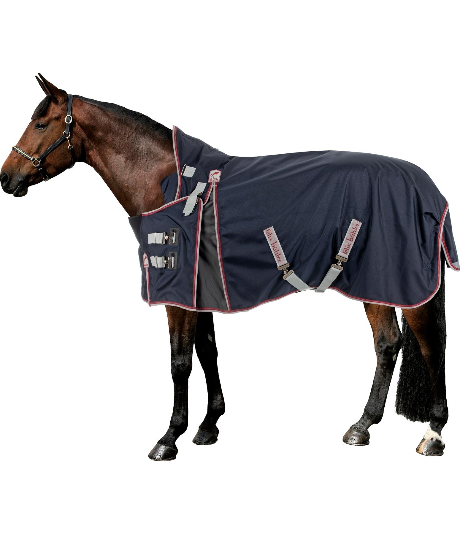 Highneck Regendecke Estero mit Sideclosure, 50 g