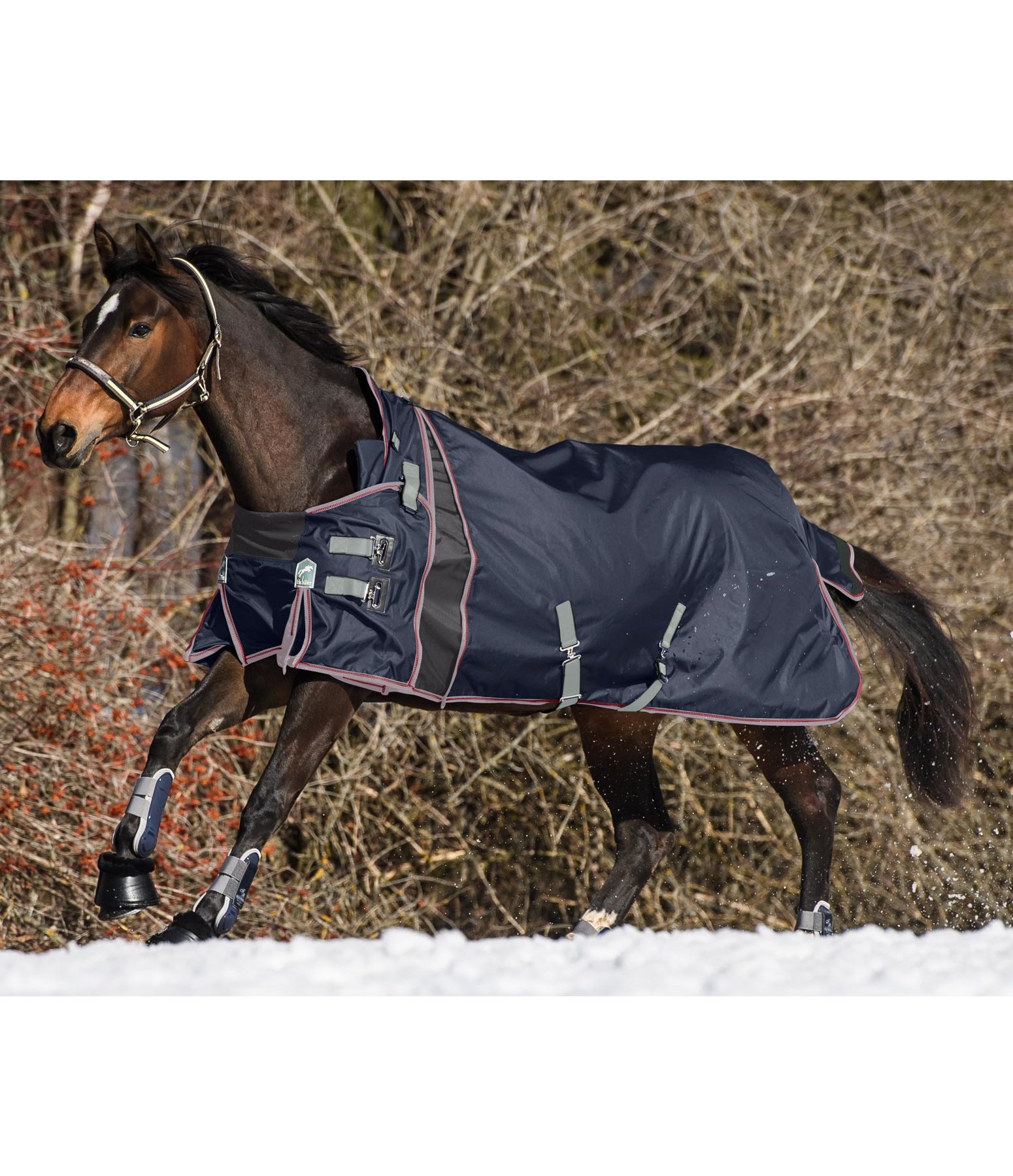 Highneck Regendecke Estero mit Sideclosure, 50 g