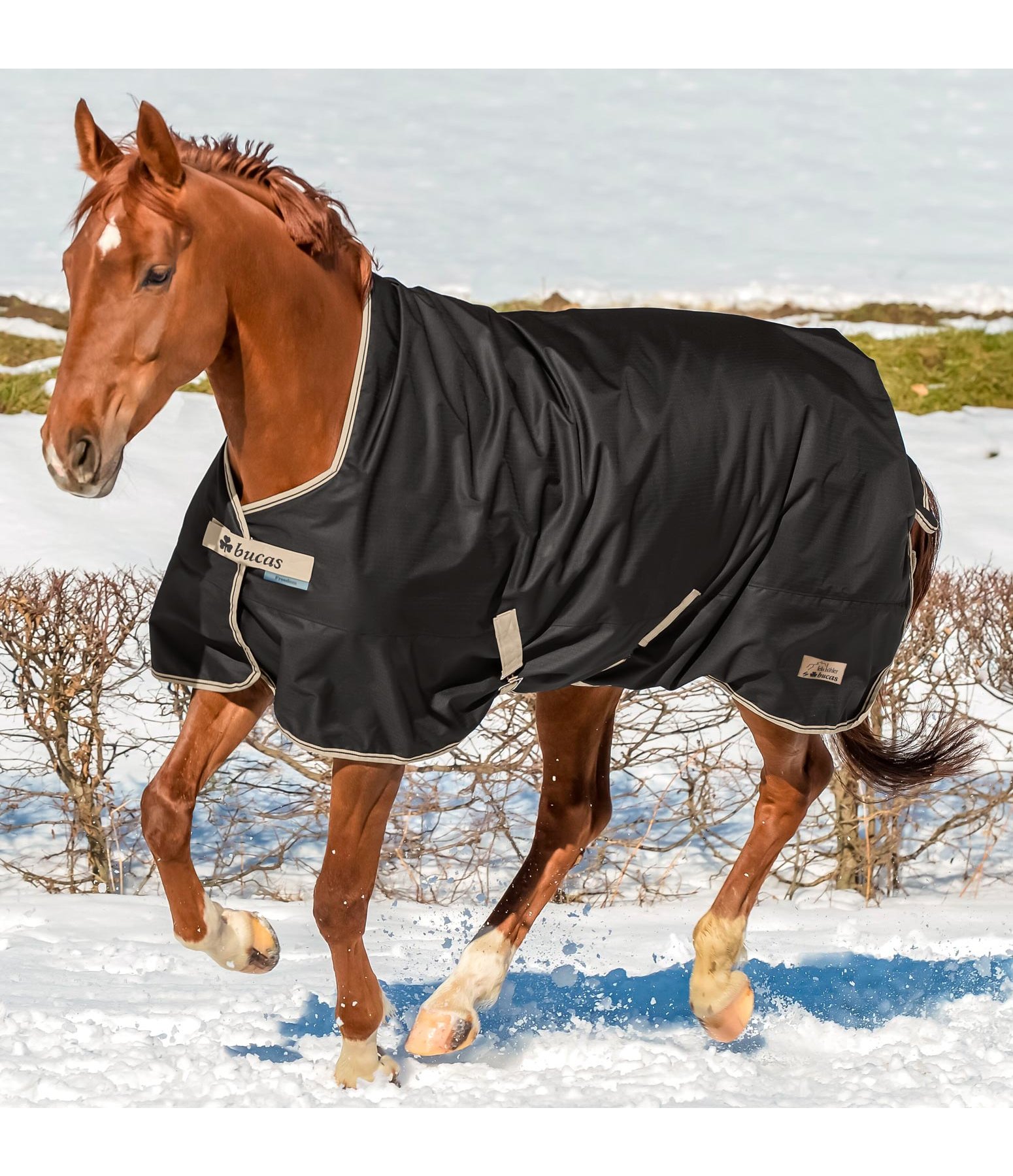 Felix Bühler by Bucas Freedom Turnout Highneck, 200 g