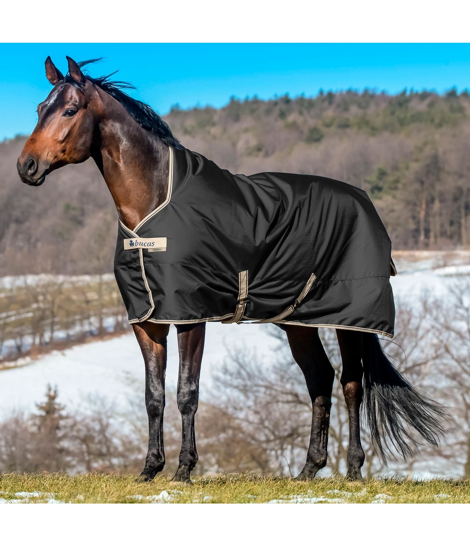 Felix Bühler by Bucas Freedom Turnout Highneck, 200 g