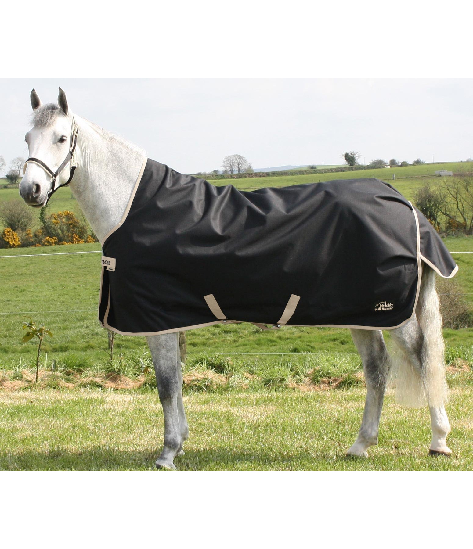 Felix Bühler by Bucas Freedom Turnout Highneck, 200 g