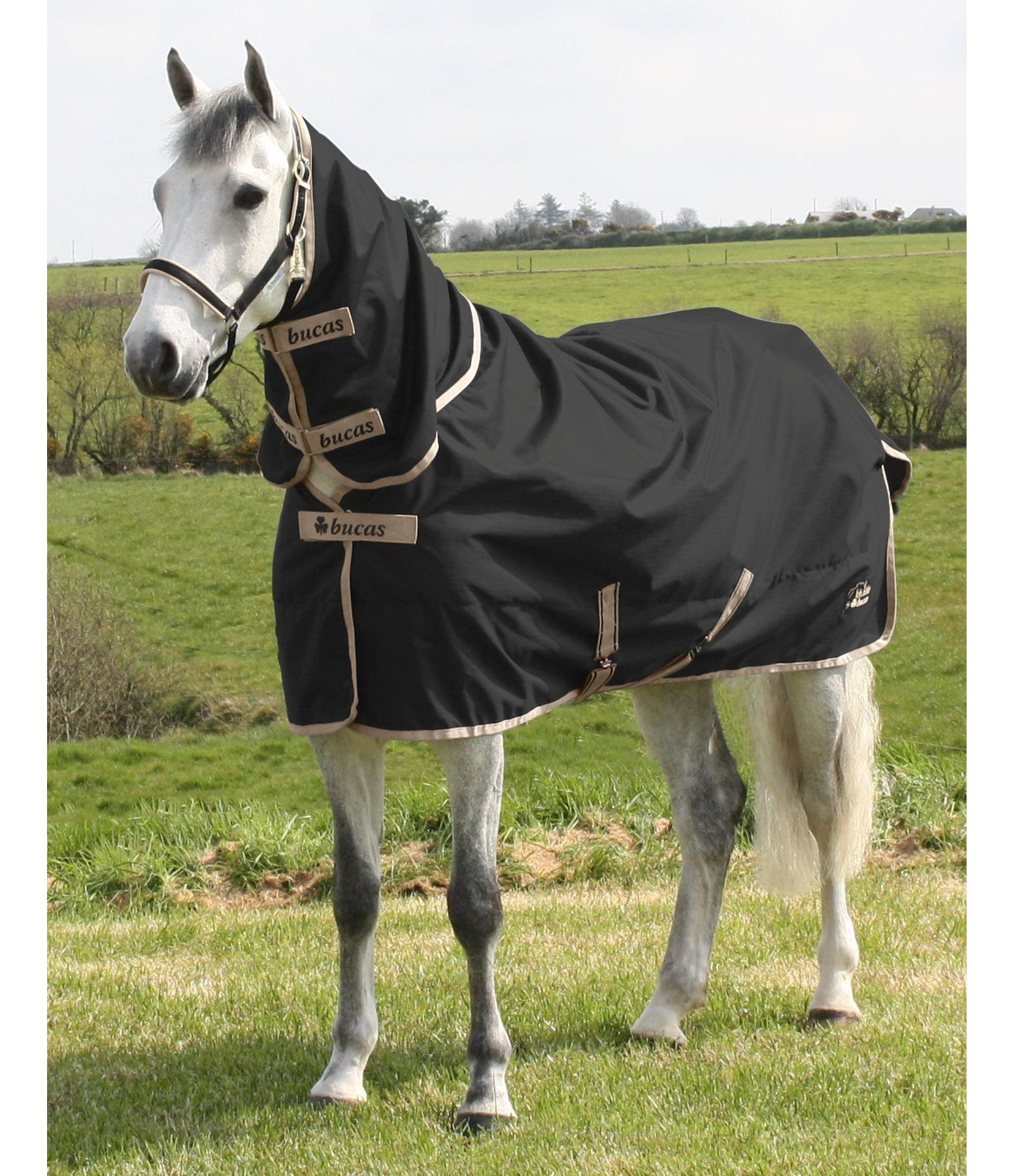 Bucas Freedom Turnout Fullneck by Felix Bühler, 50 g