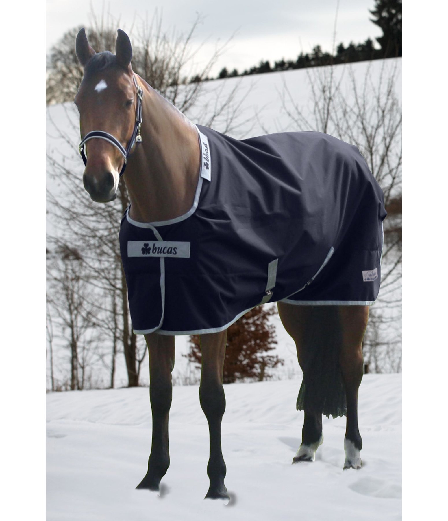 Bucas Turnout Standardneck by Felix Bühler, 150g