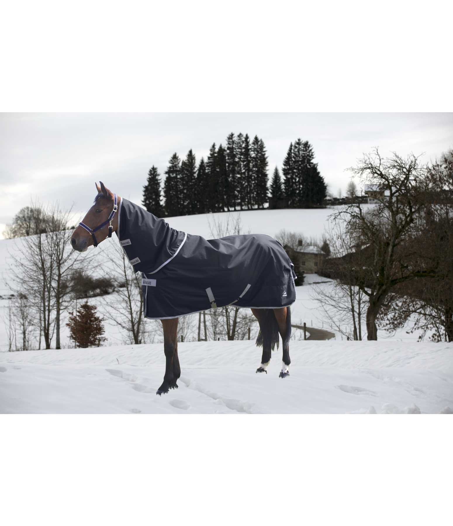 Bucas Turnout Halsteil by Felix Bühler