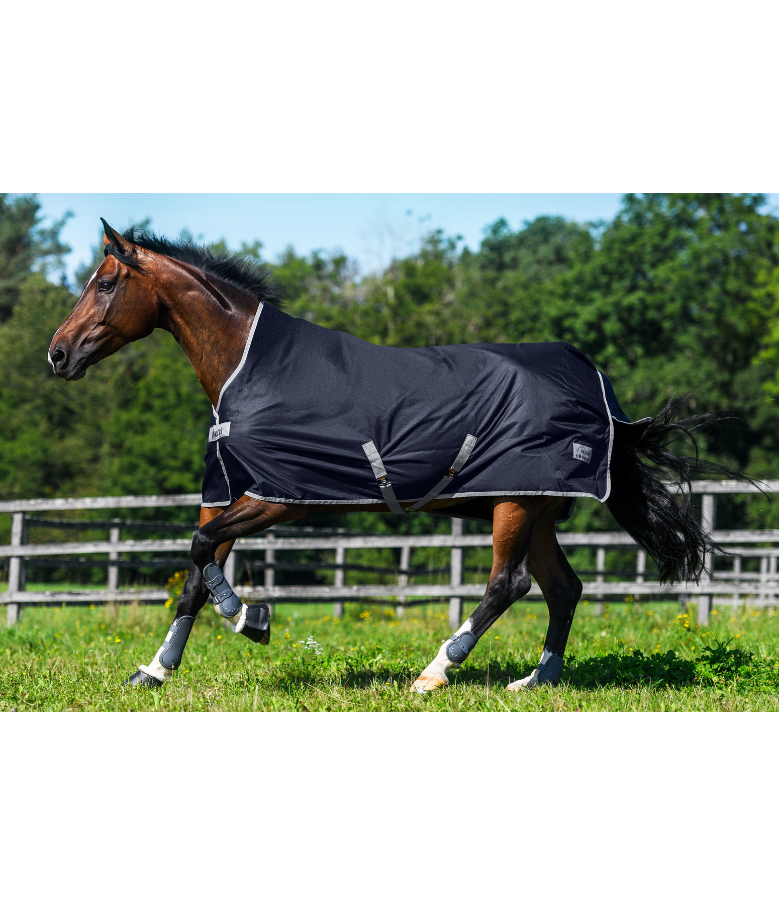 Felix Bhler by Bucas Turnout Highneck, 0 g