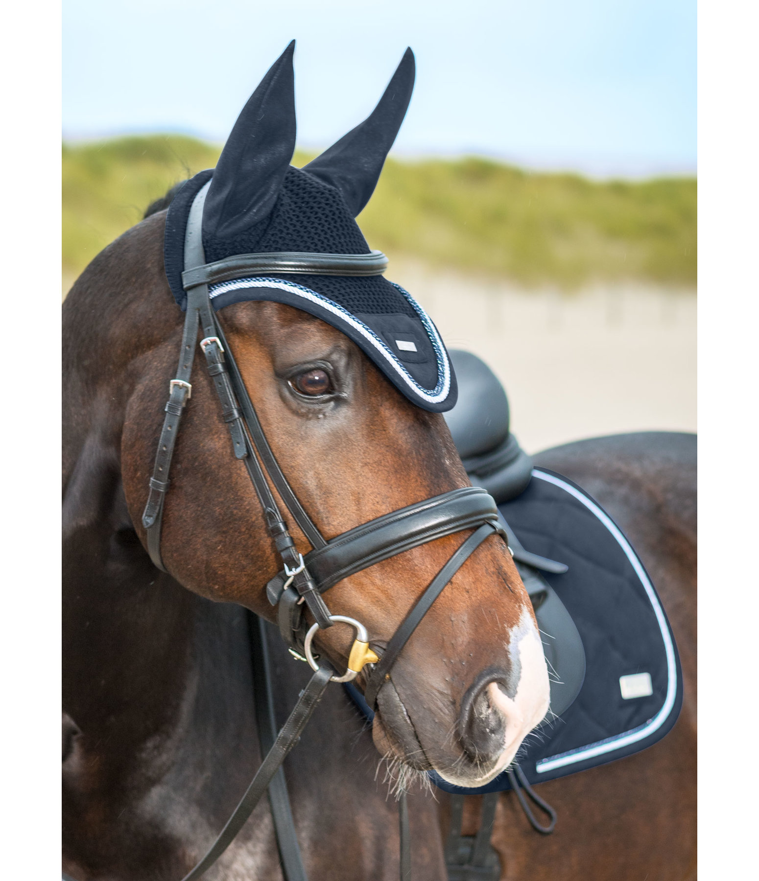 Fliegenhaube Welmoed