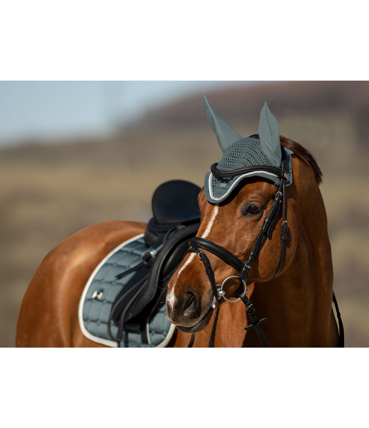 Fliegenhaube Essential
