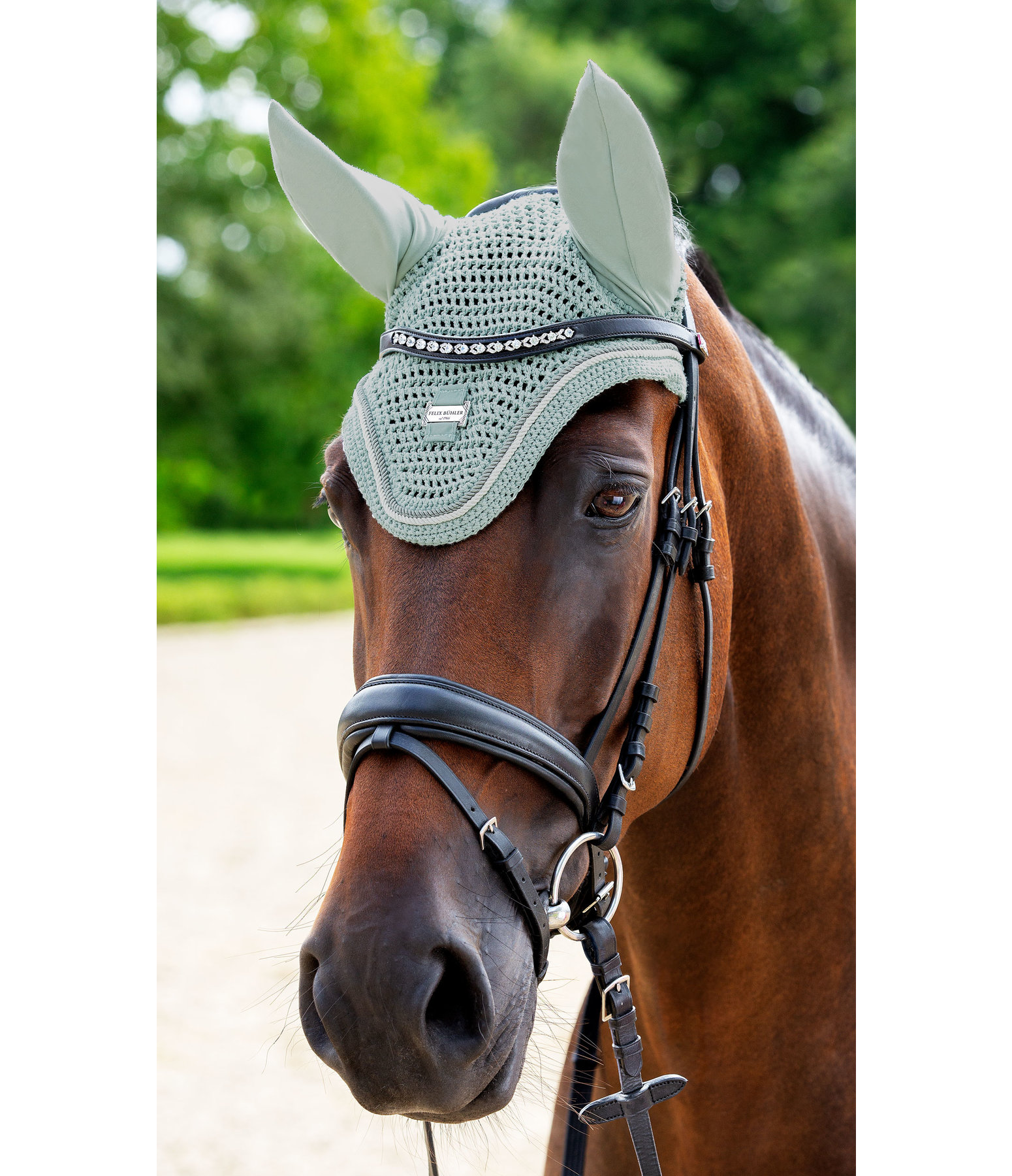 Fliegenhaube Essential