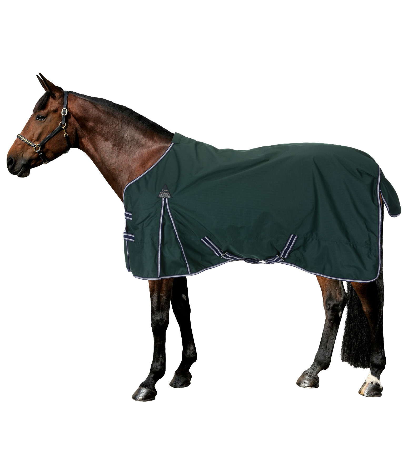 Regendecke Kadir III
