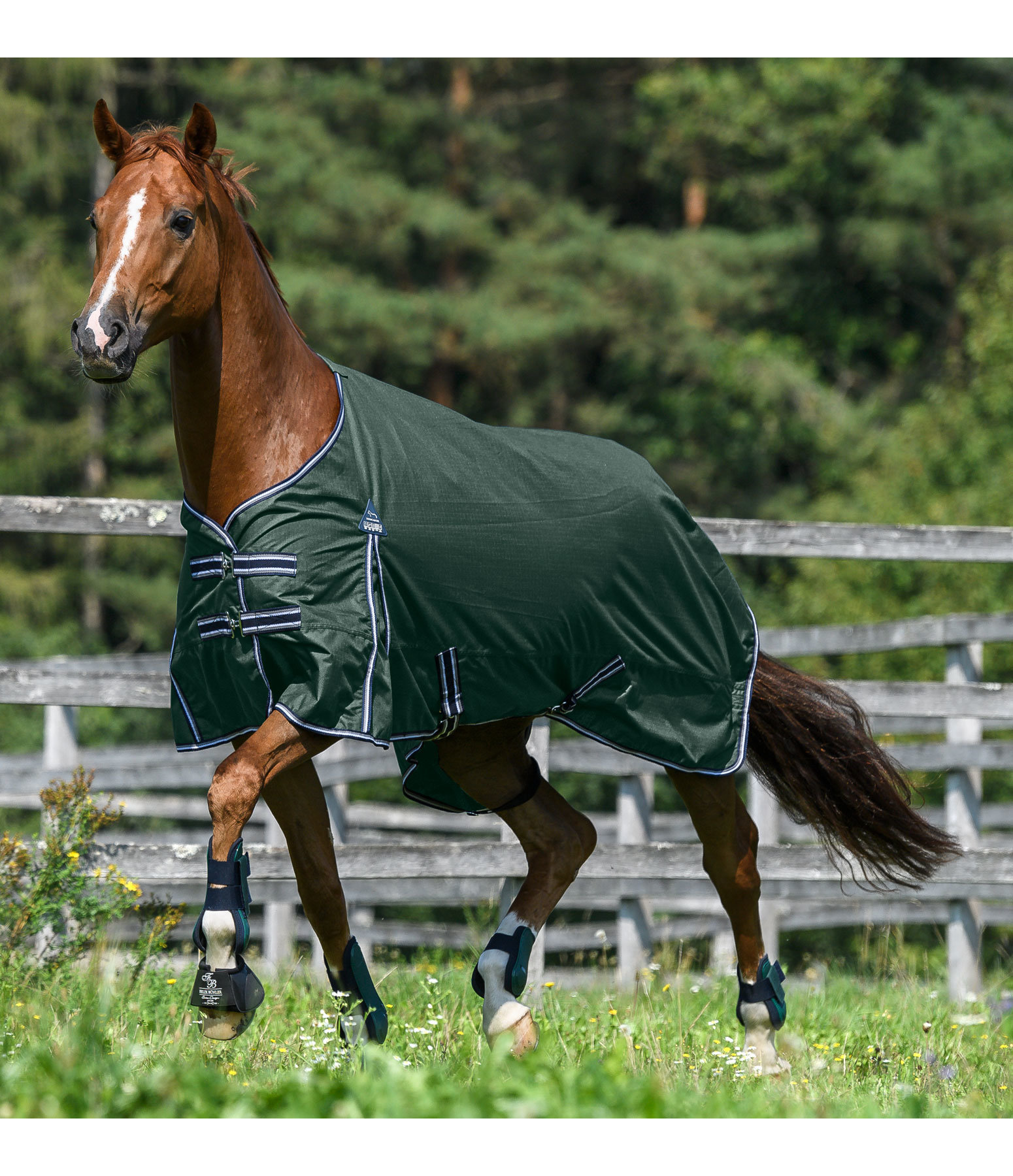 Regendecke Kadir III