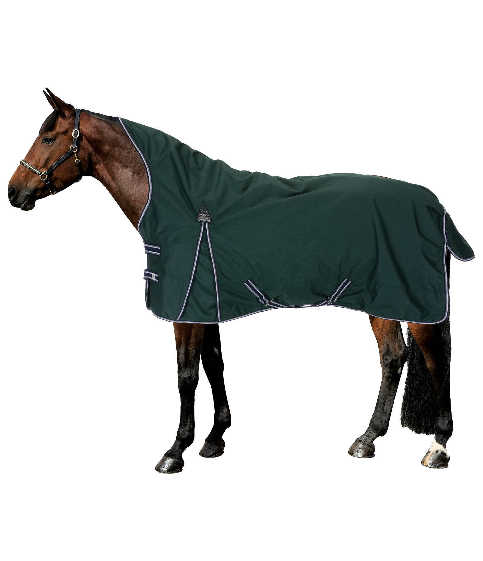 Highneck Regendecke Kalina