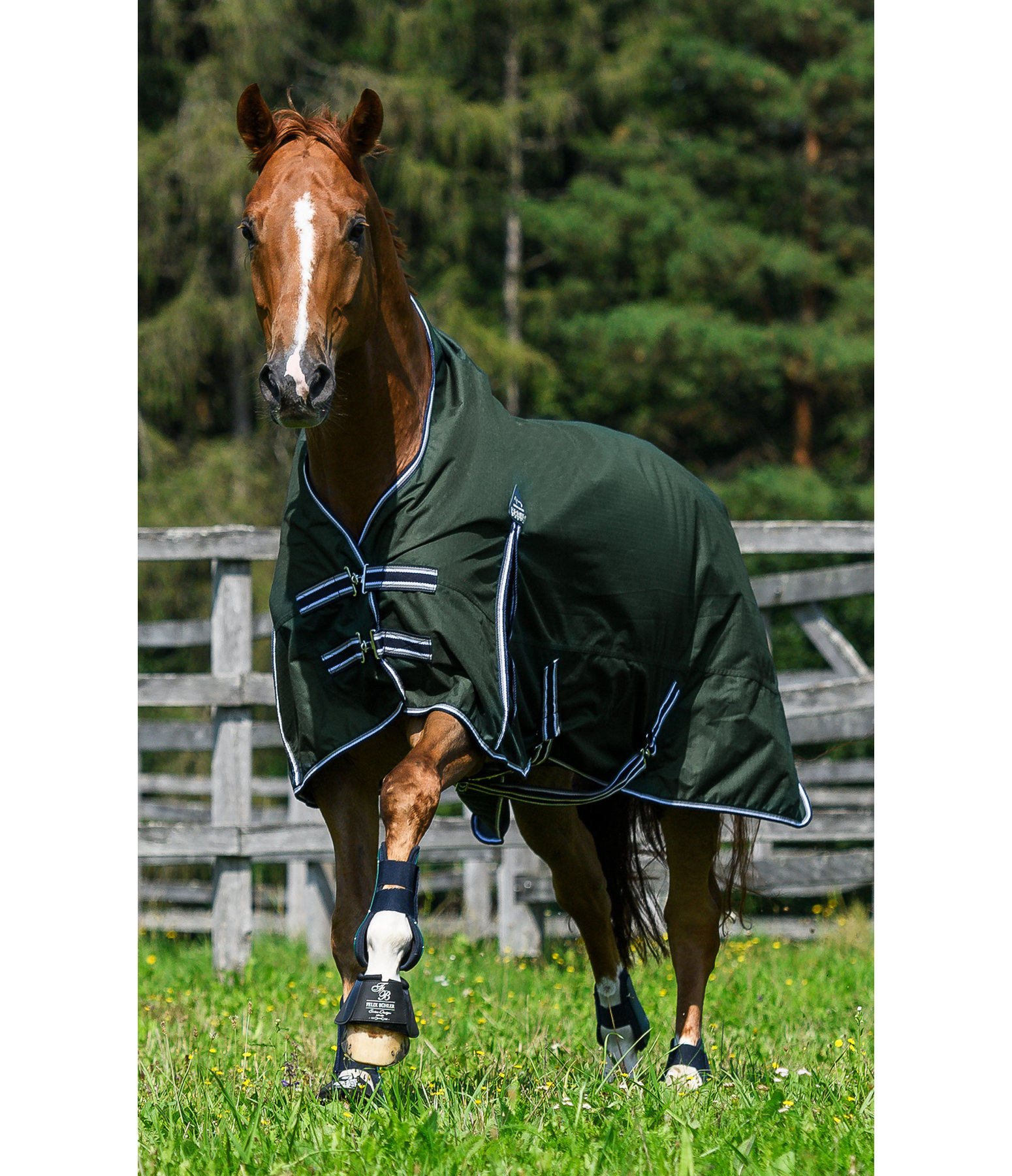 Highneck Regendecke Kalina