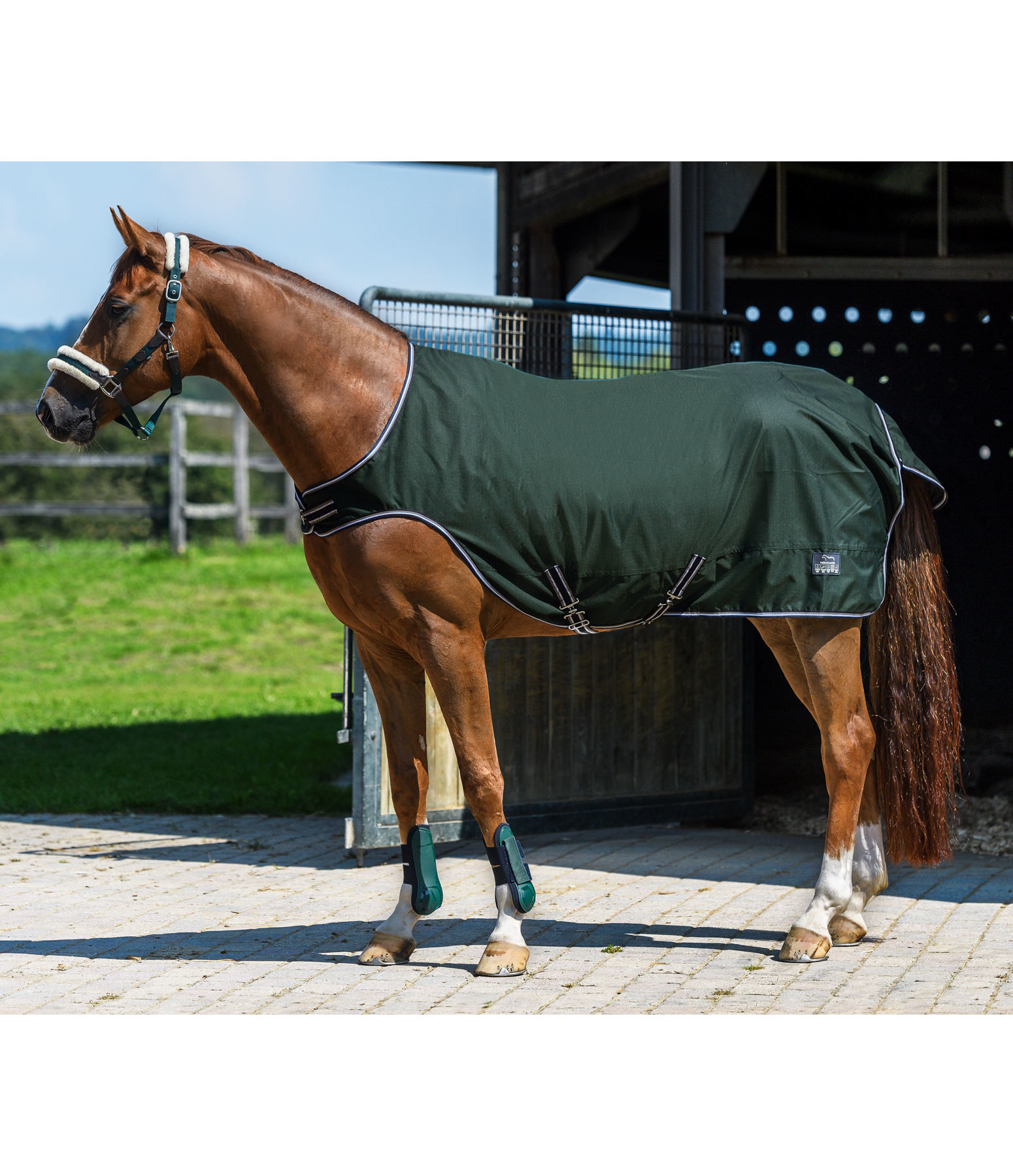 Outdoor-Walker Kasimo
