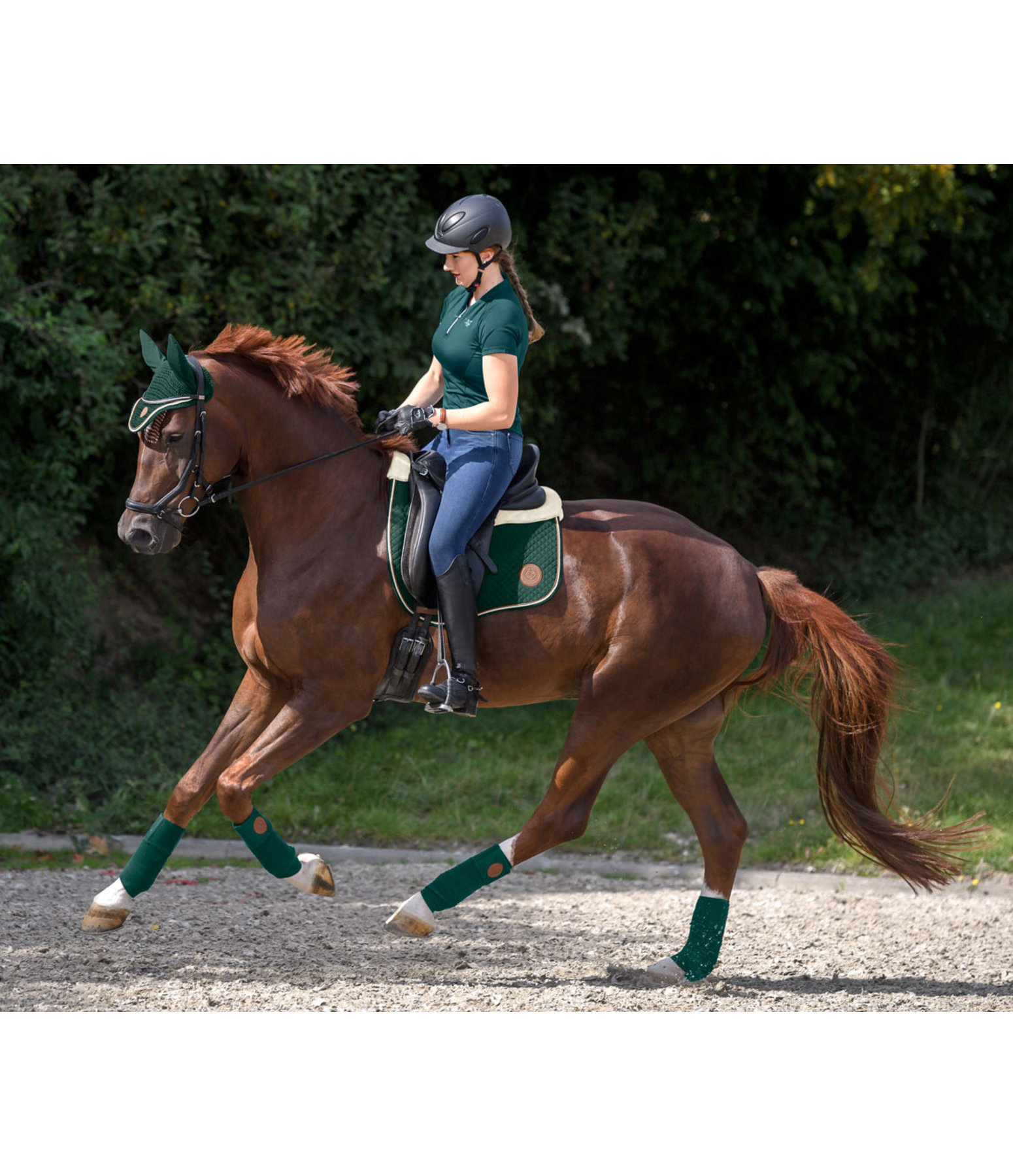 Fliegenhaube Timeless Elegance