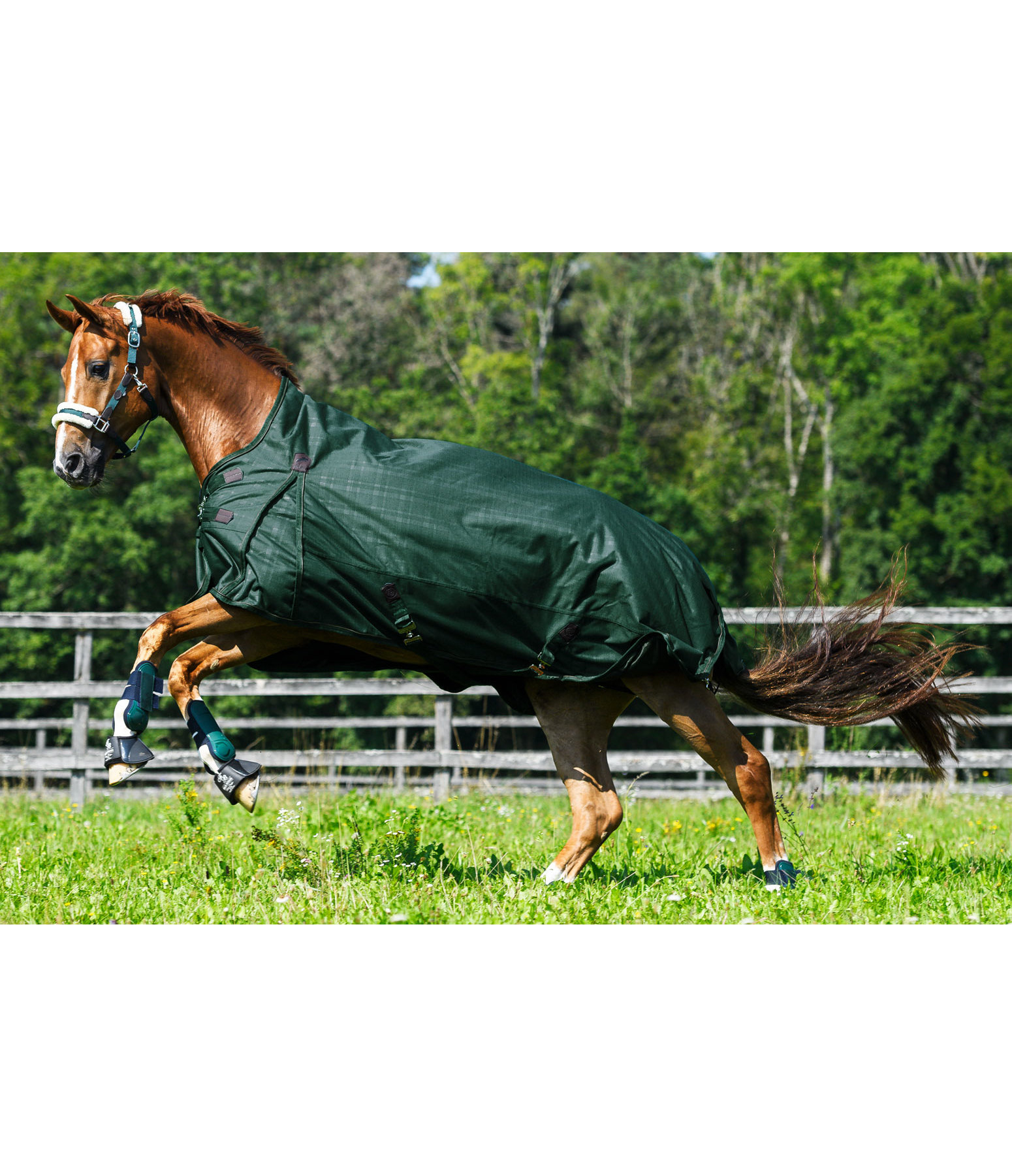 Highneck Outdoordecke Timeless Elegance