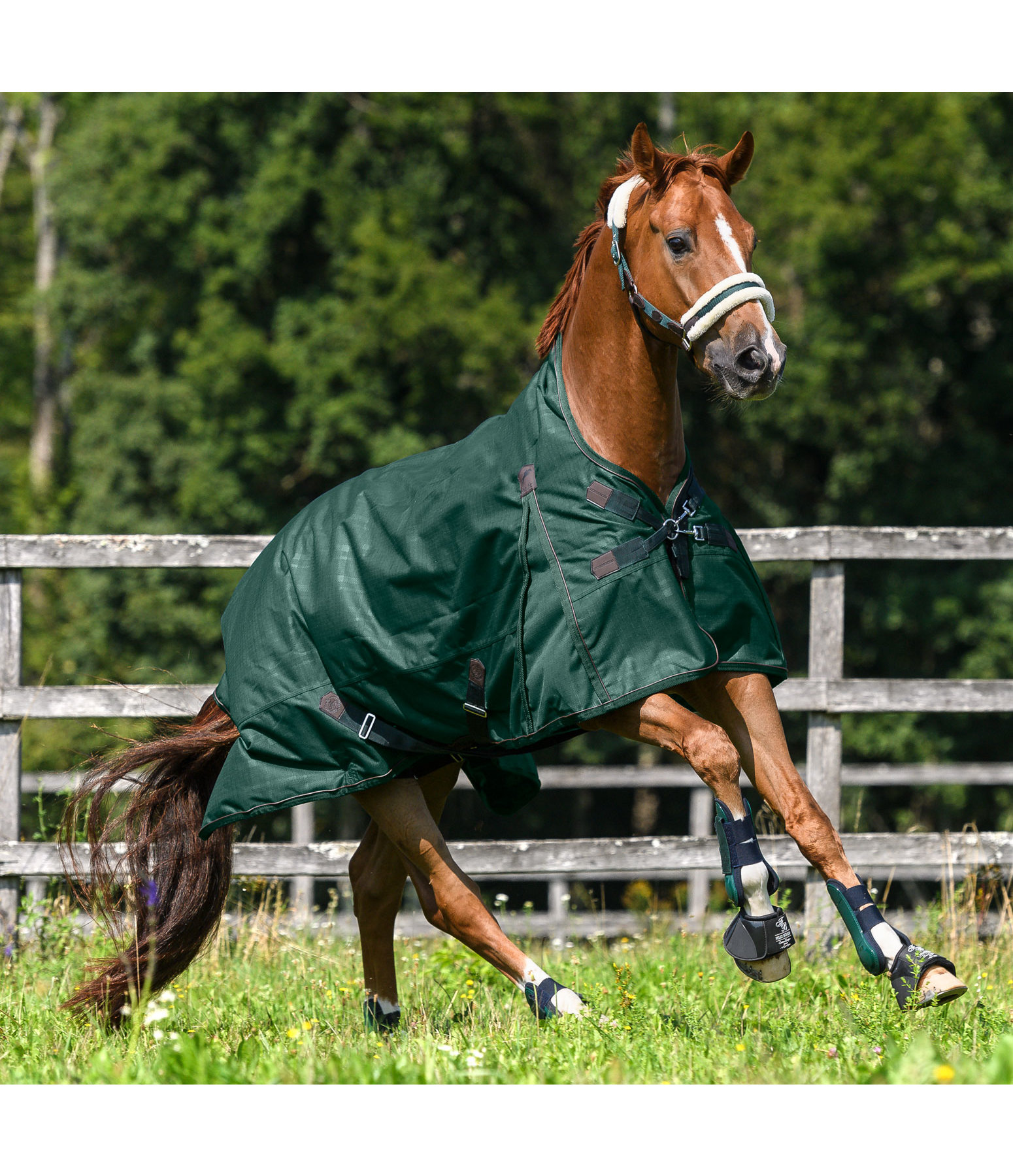 Highneck Outdoordecke Timeless Elegance