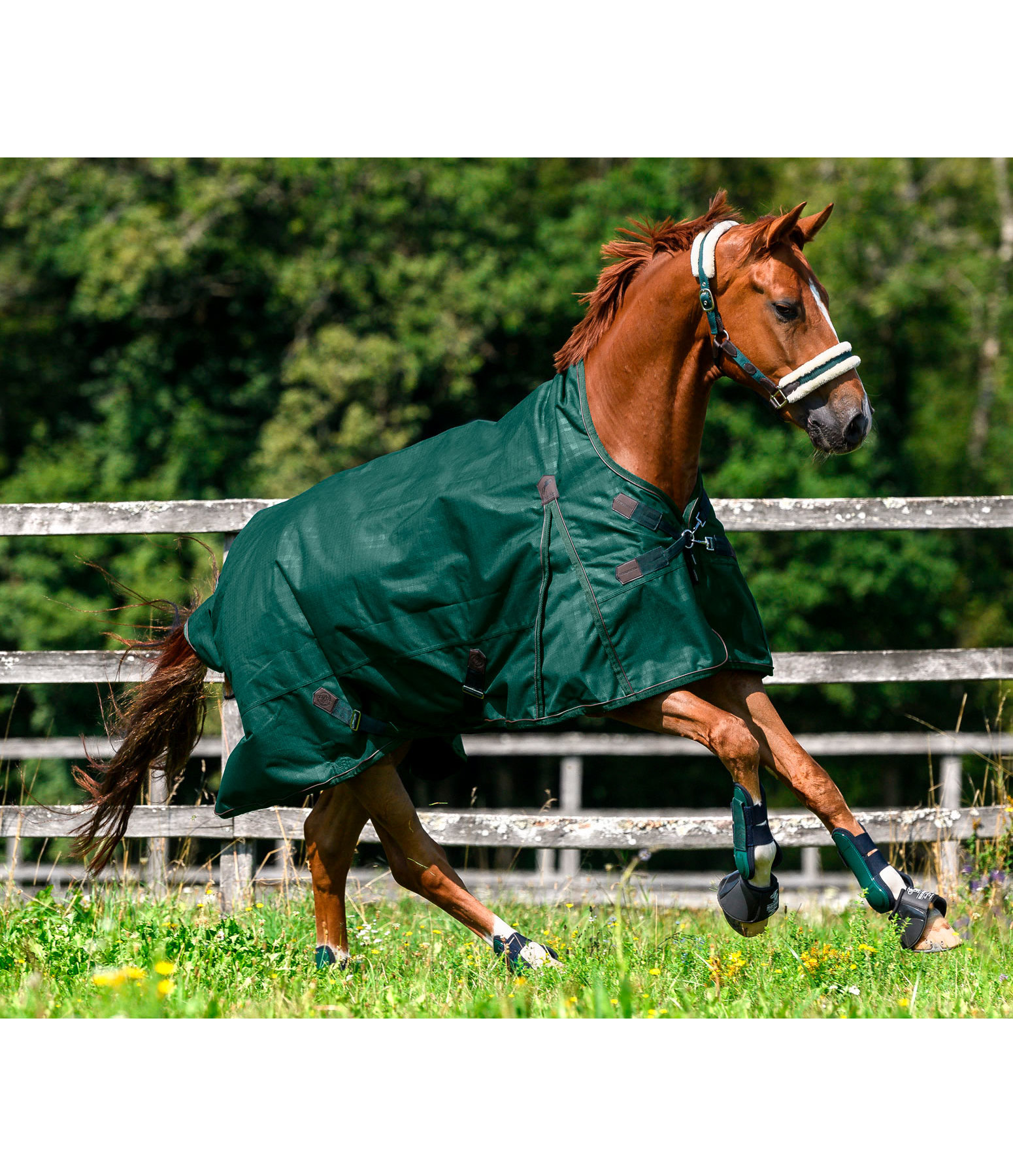 Highneck Outdoordecke Timeless Elegance