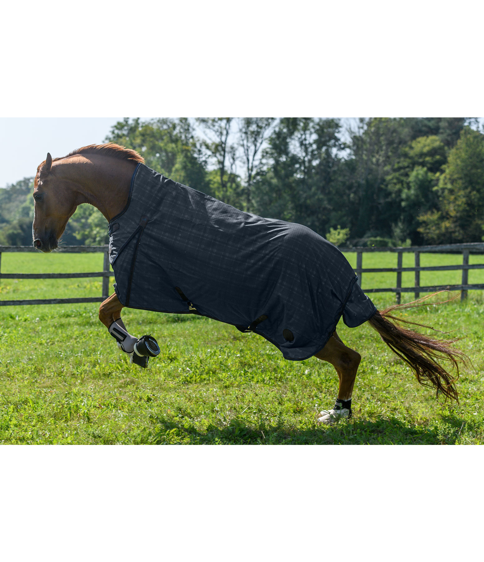 Highneck Outdoordecke Timeless Elegance