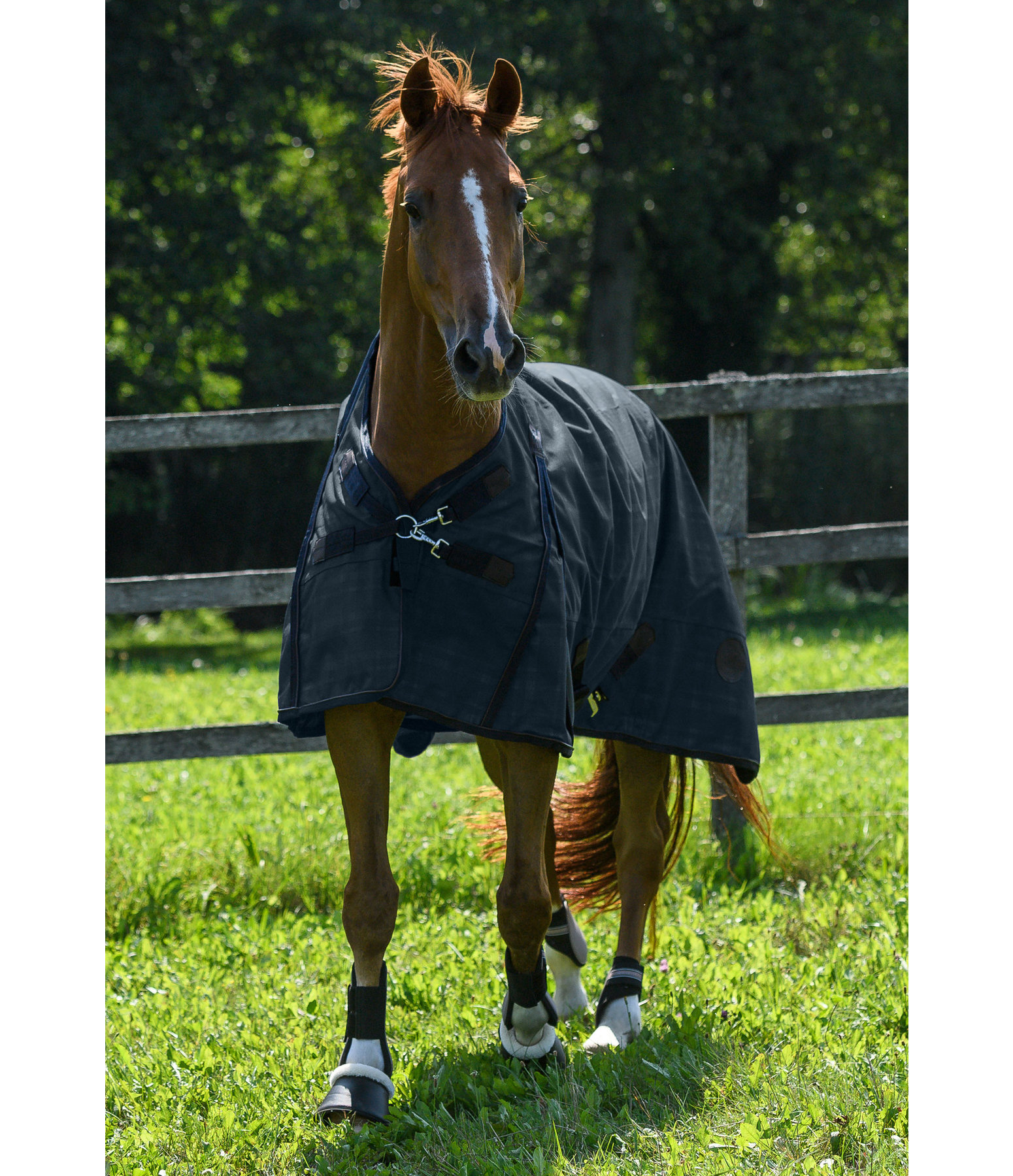Highneck Outdoordecke Timeless Elegance