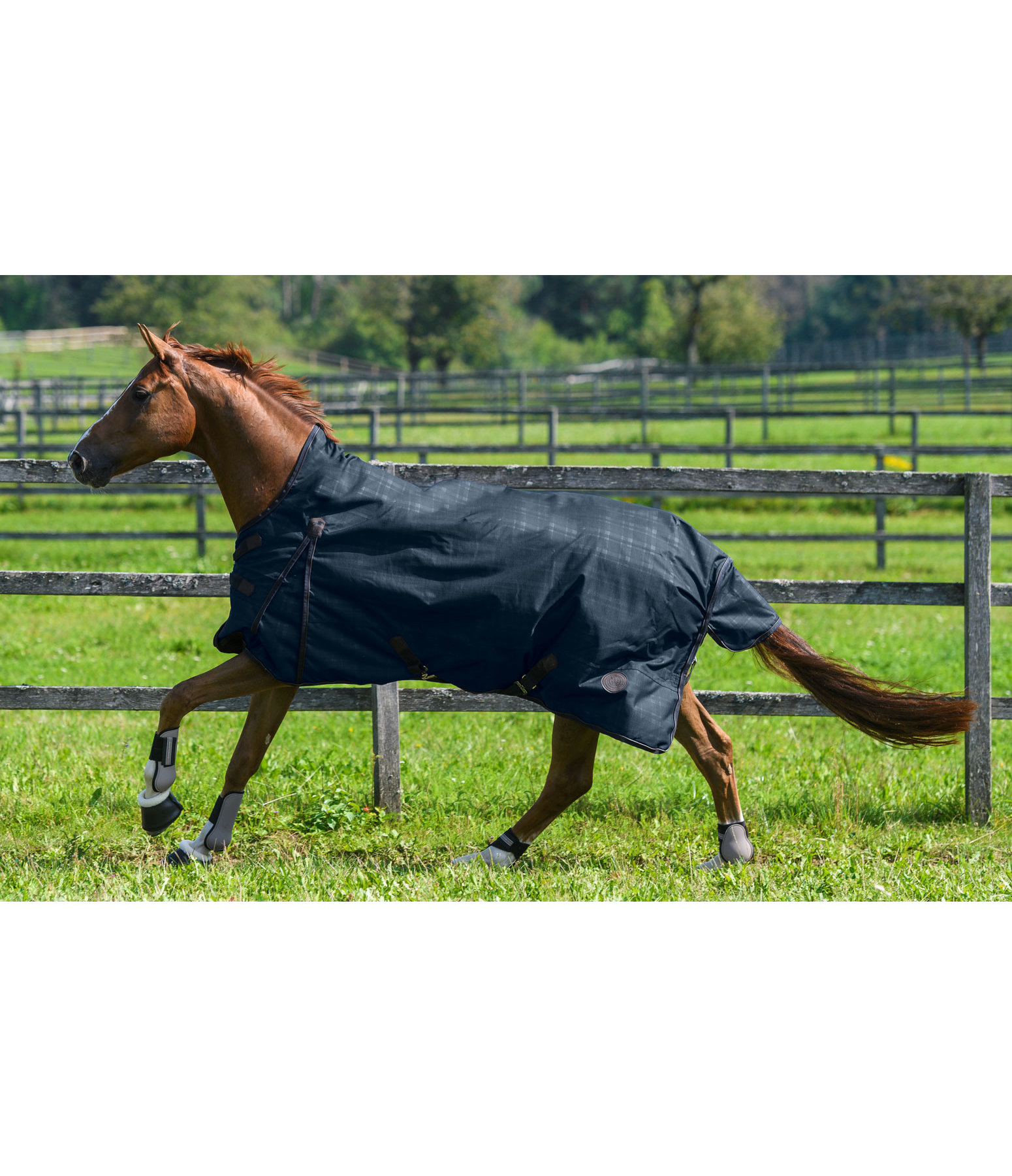 Highneck Outdoordecke Timeless Elegance
