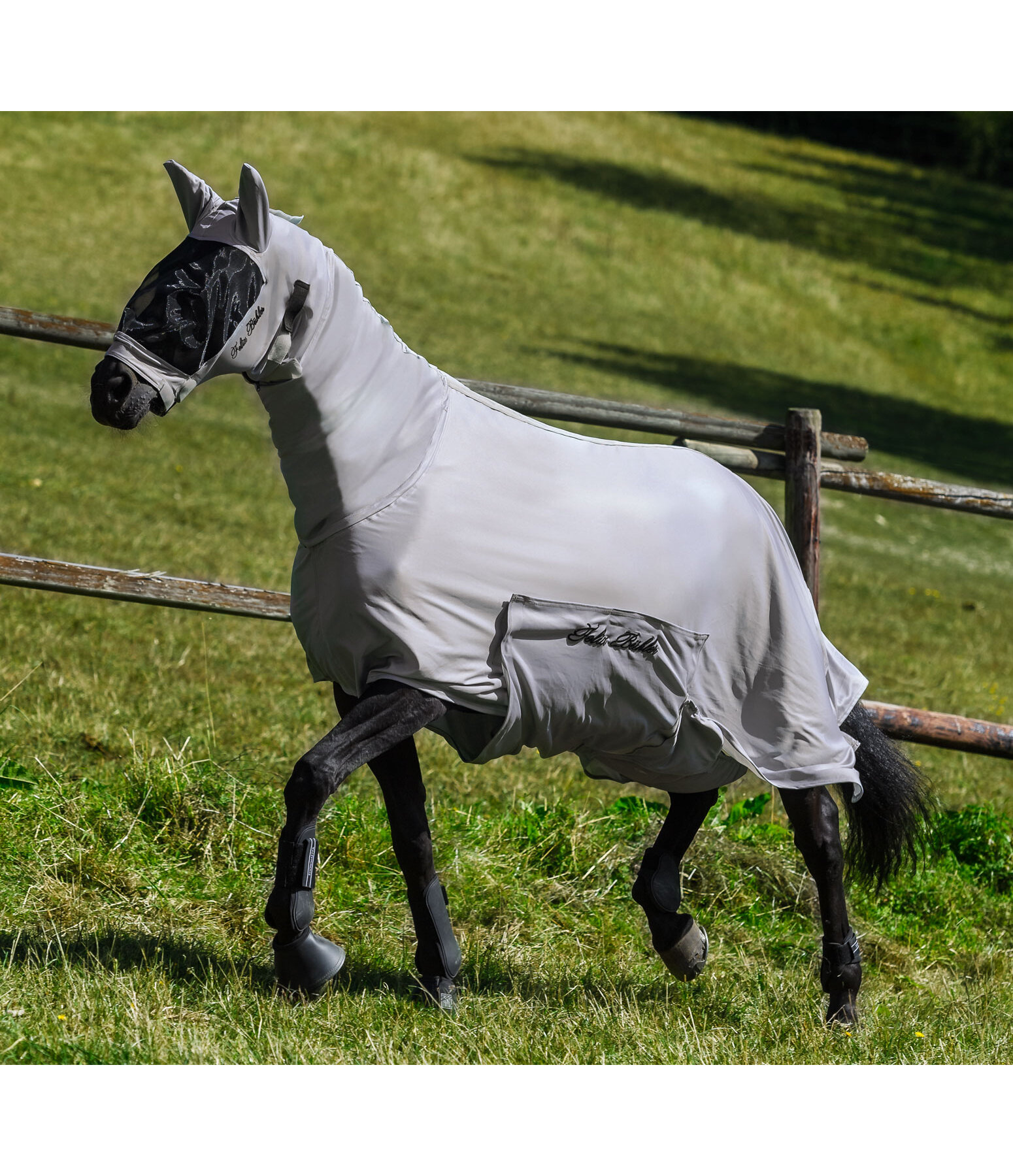 EkzemerFliegenmaske Gibson PonyFliegenschutz Krämer Pferdesport