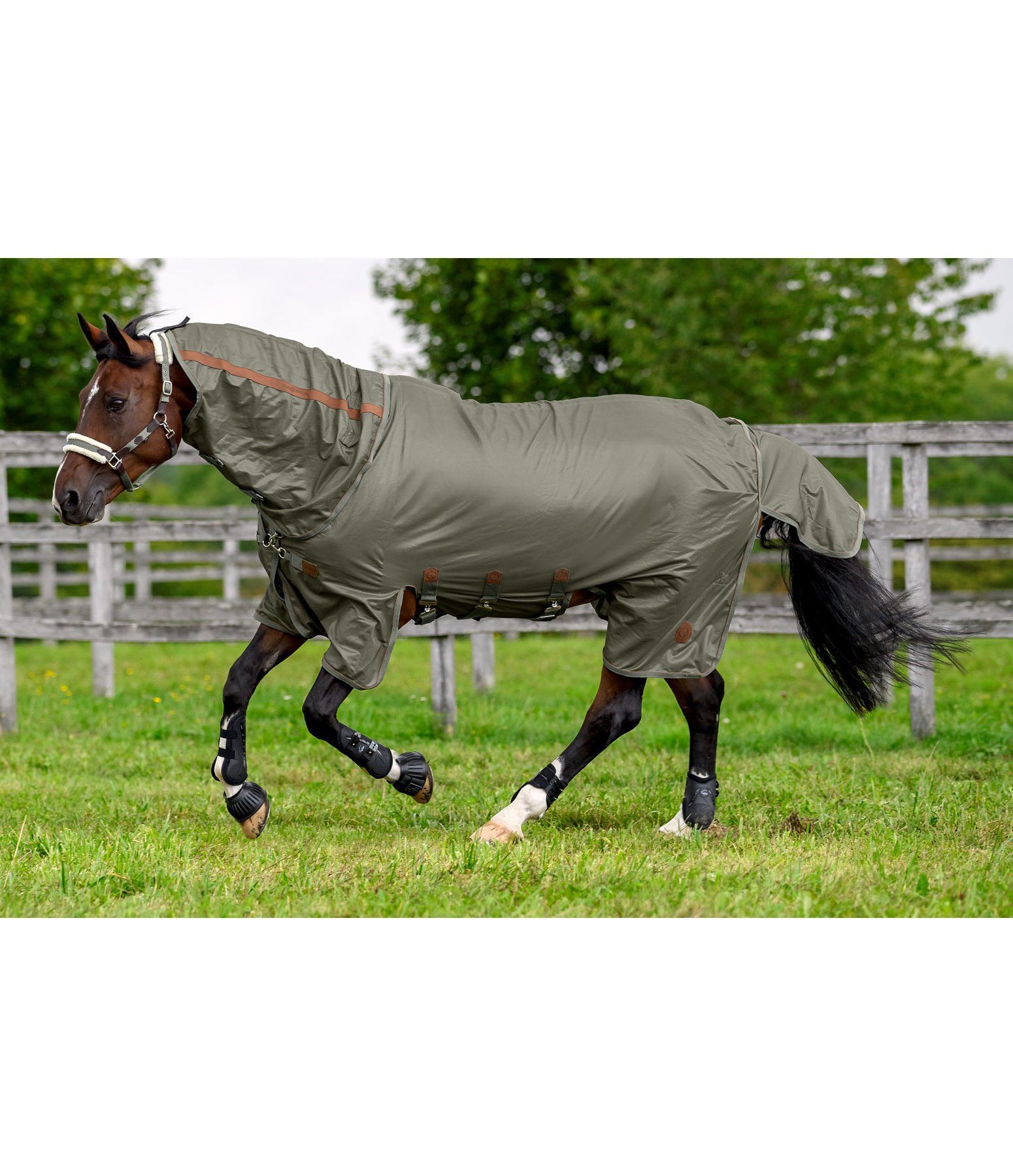 Fullneck-Fliegendecke Timeless Elegance mit abnehmbarem Halsteil