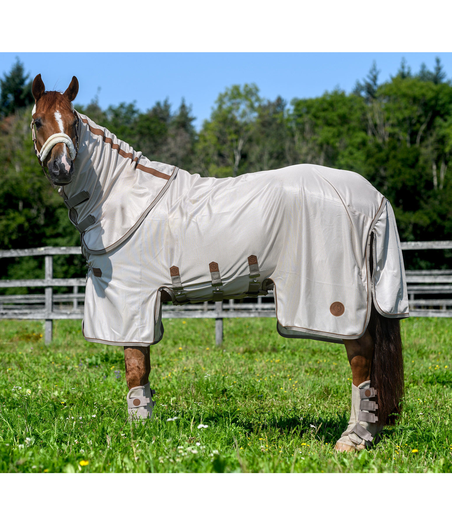 Fullneck-Fliegendecke Timeless Elegance mit abnehmbarem Halsteil