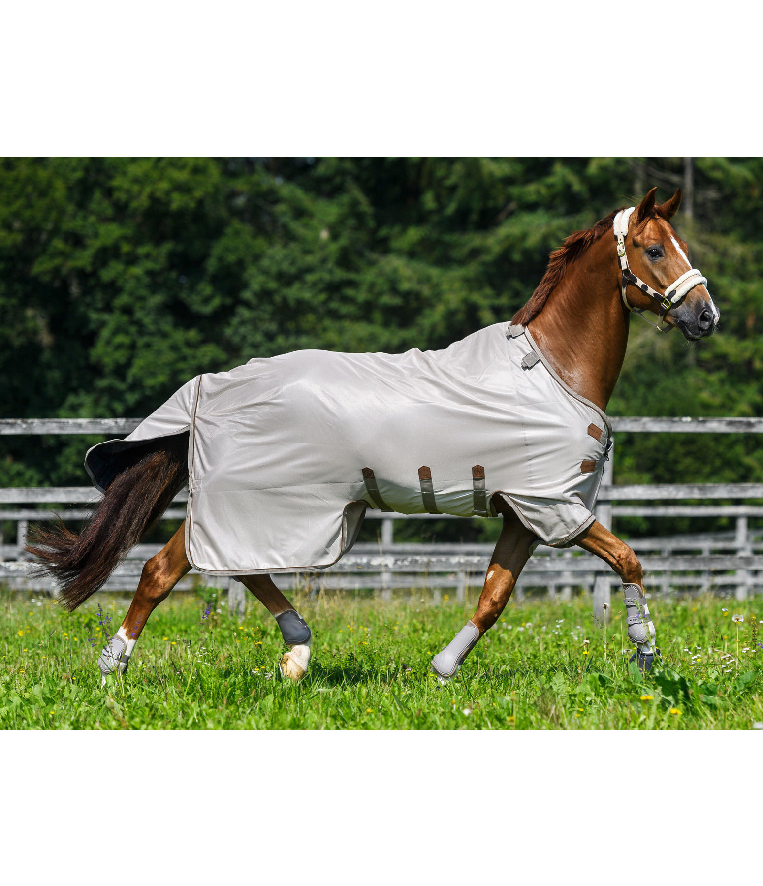 Fullneck-Fliegendecke Timeless Elegance mit abnehmbarem Halsteil