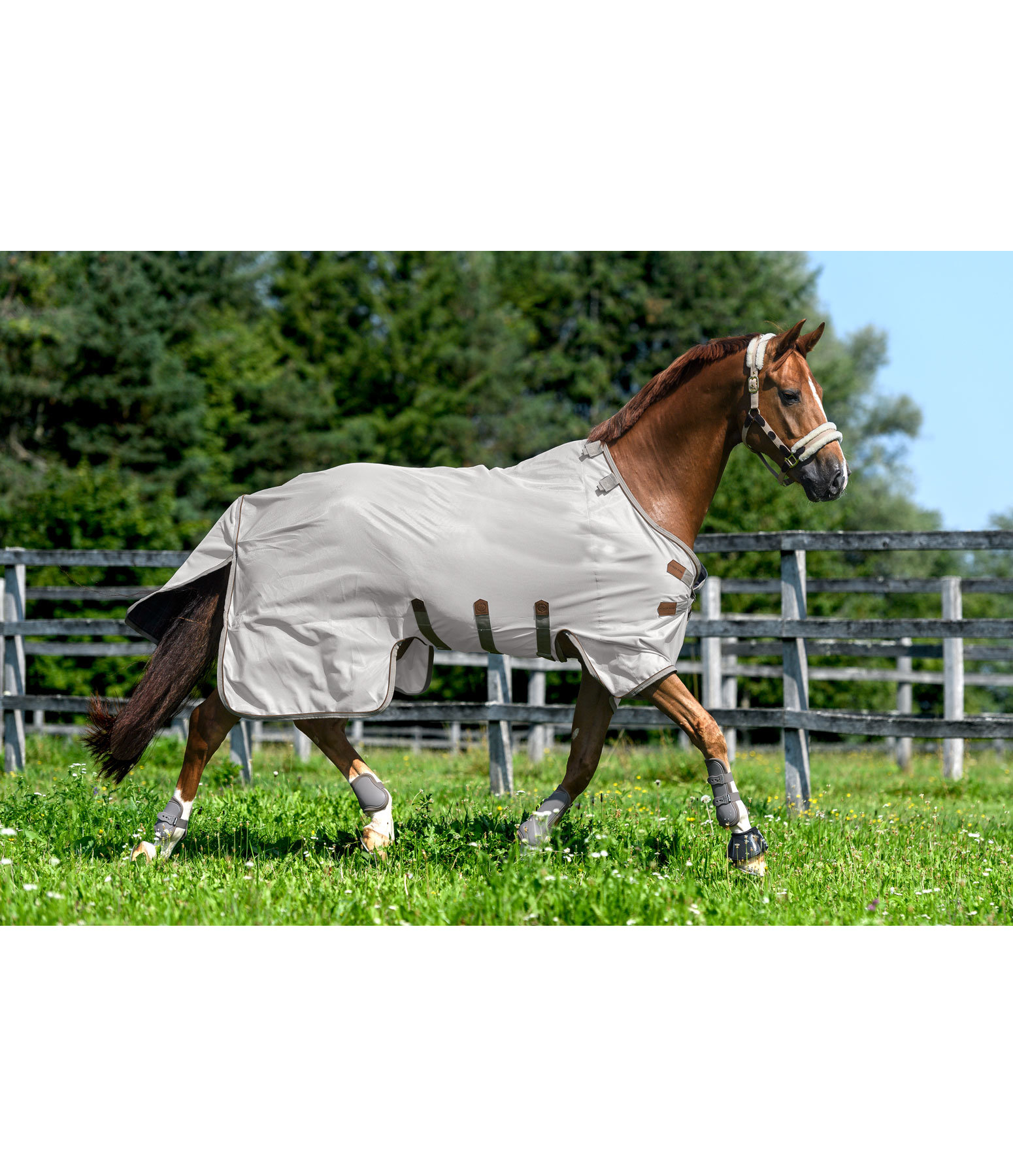 Fullneck-Fliegendecke Timeless Elegance mit abnehmbarem Halsteil